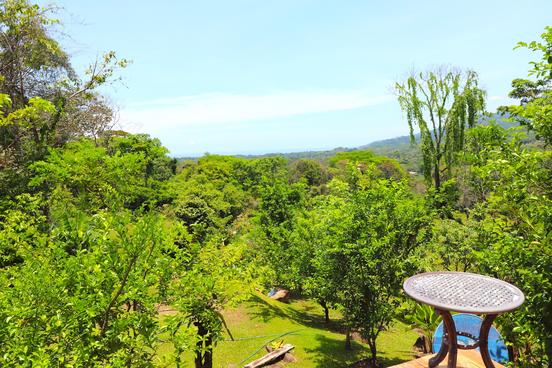4 bed Land For Sale in Uvita, Puntarenas - thumb 7