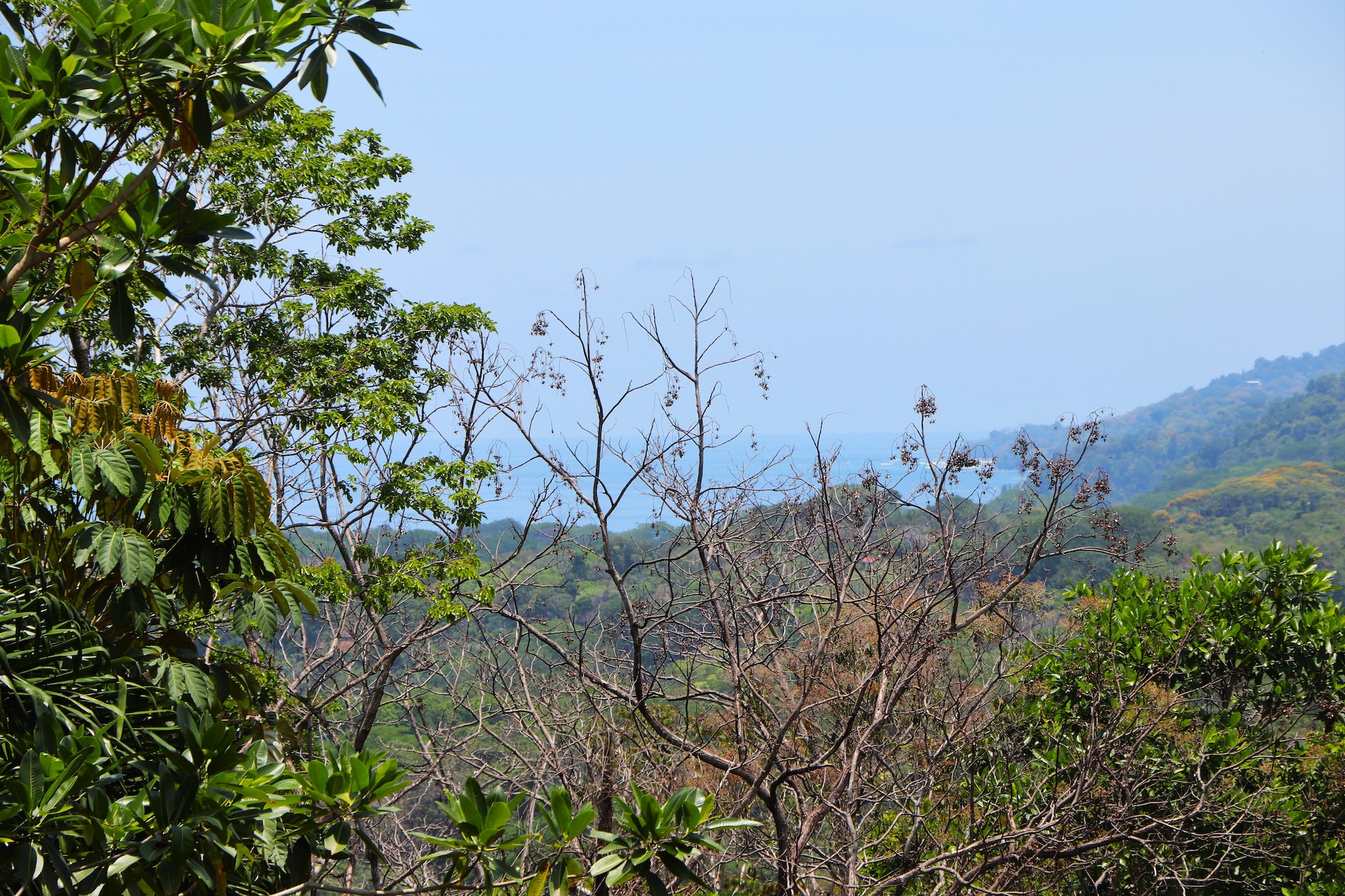 4 bed Land For Sale in Uvita, Puntarenas - thumb 6