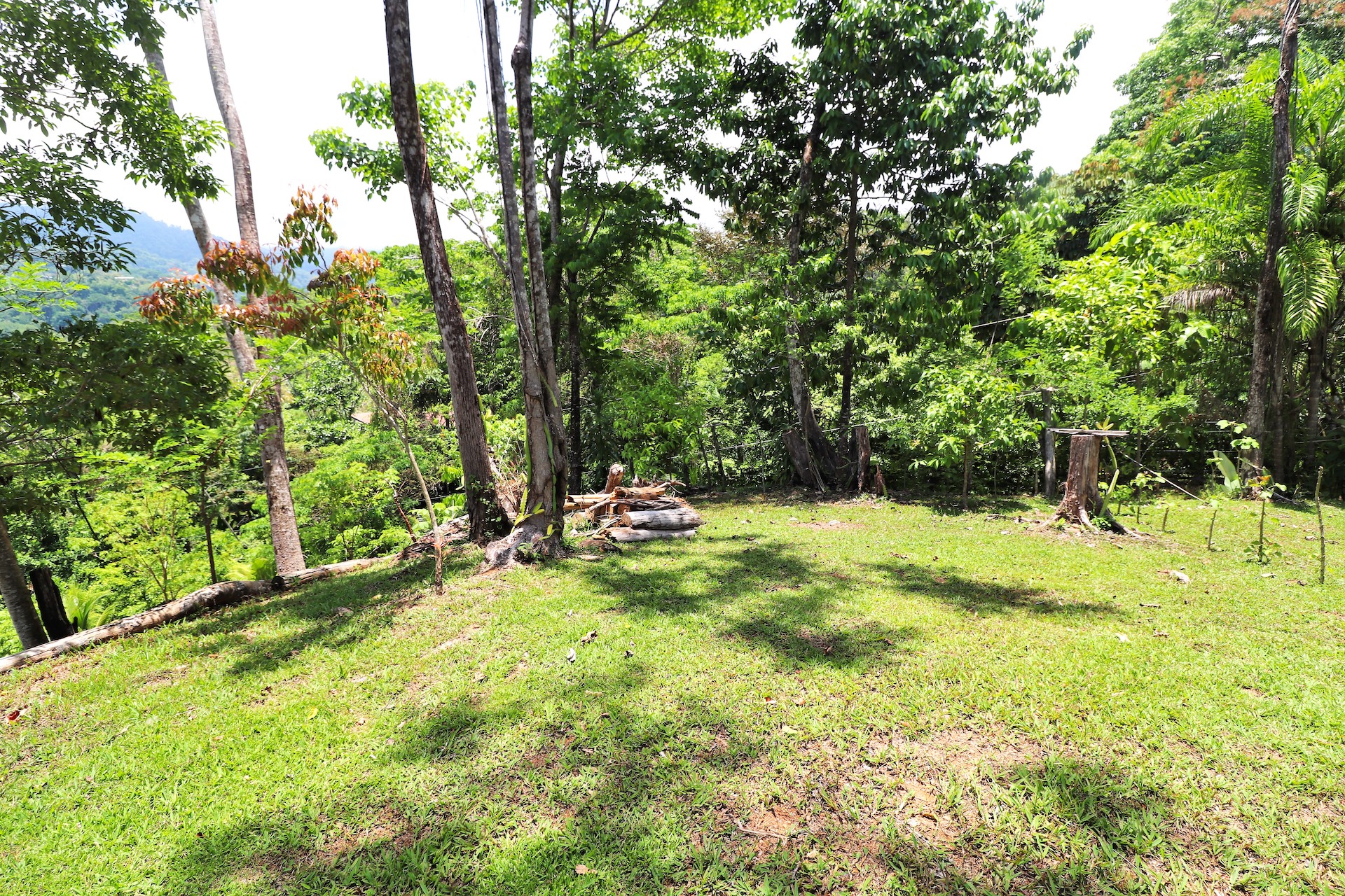 4 bed Land For Sale in Uvita, Puntarenas - thumb 19