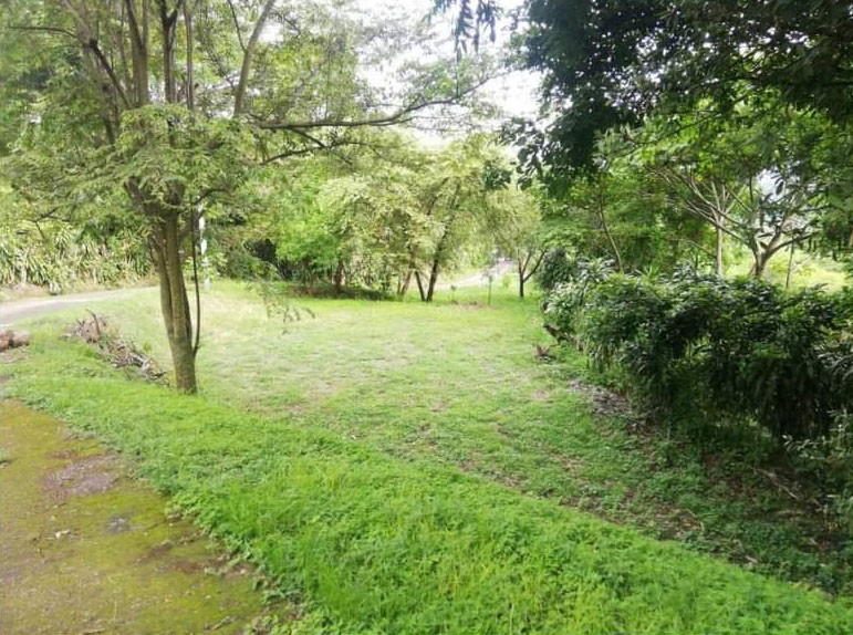 0 bed Land For Sale in Atenas, Alajuela - thumb 1