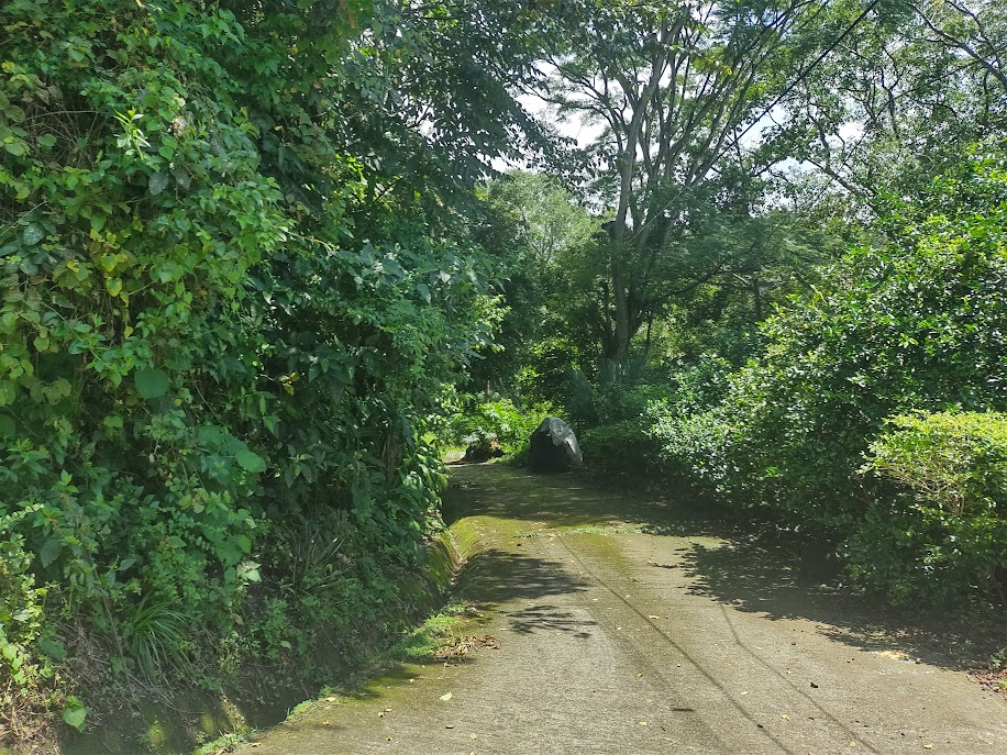 0 bed Land For Sale in Atenas, Alajuela - thumb 2