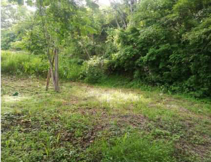 0 bed Land For Sale in Atenas, Alajuela - thumb 5