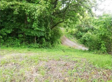 0 bed Land For Sale in Atenas, Alajuela - thumb 6