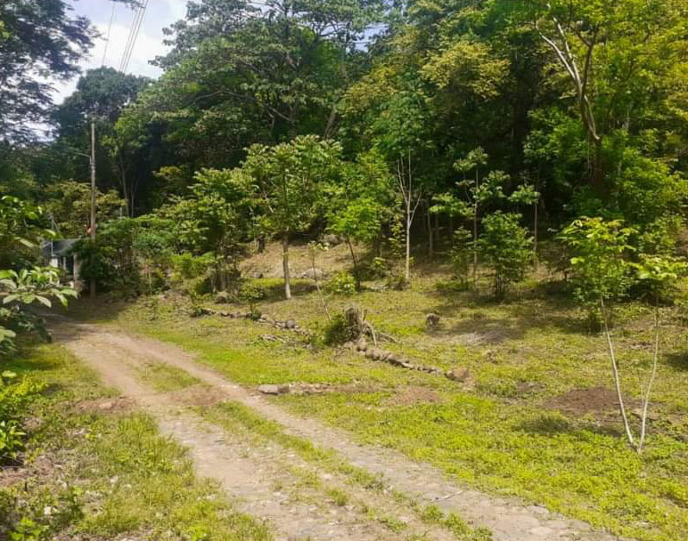 0 bed Land For Sale in Atenas, Alajuela - thumb 2