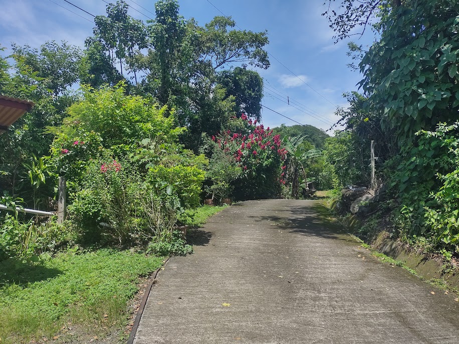 0 bed Land For Sale in Atenas, Alajuela - thumb 4