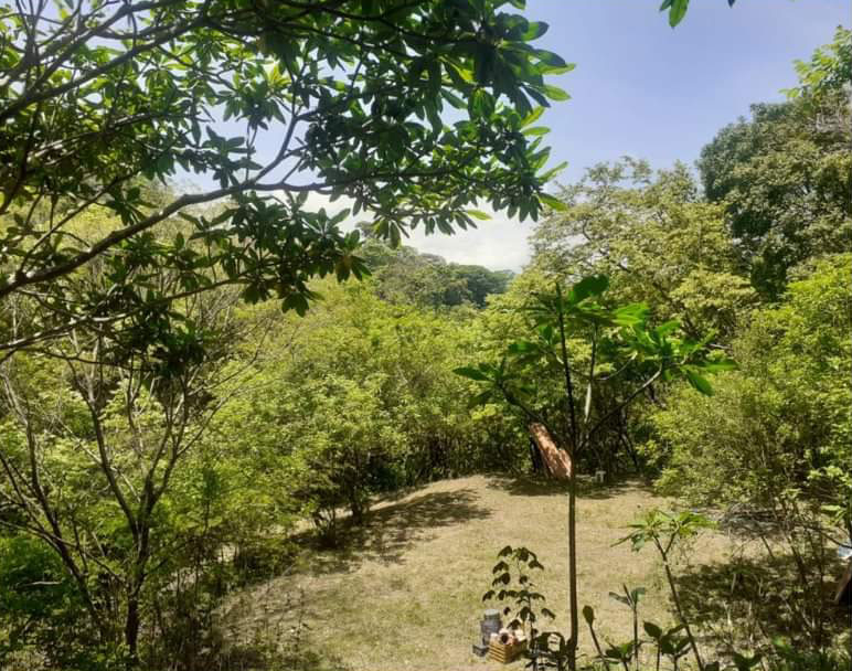 0 bed Land For Sale in Atenas, Alajuela - thumb 1