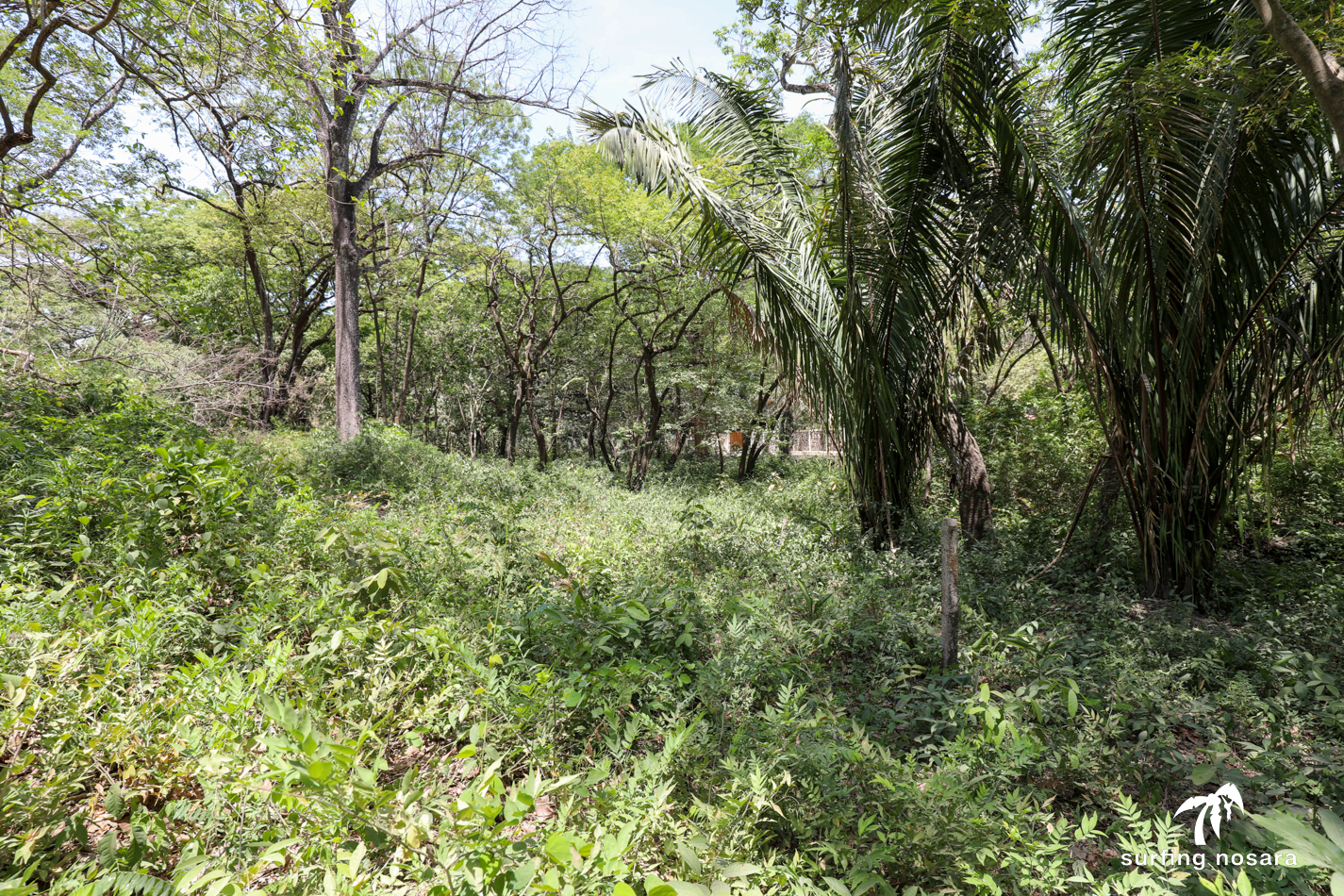 0 bed Land For Sale in Playa Pelada, Guanacaste - thumb 3