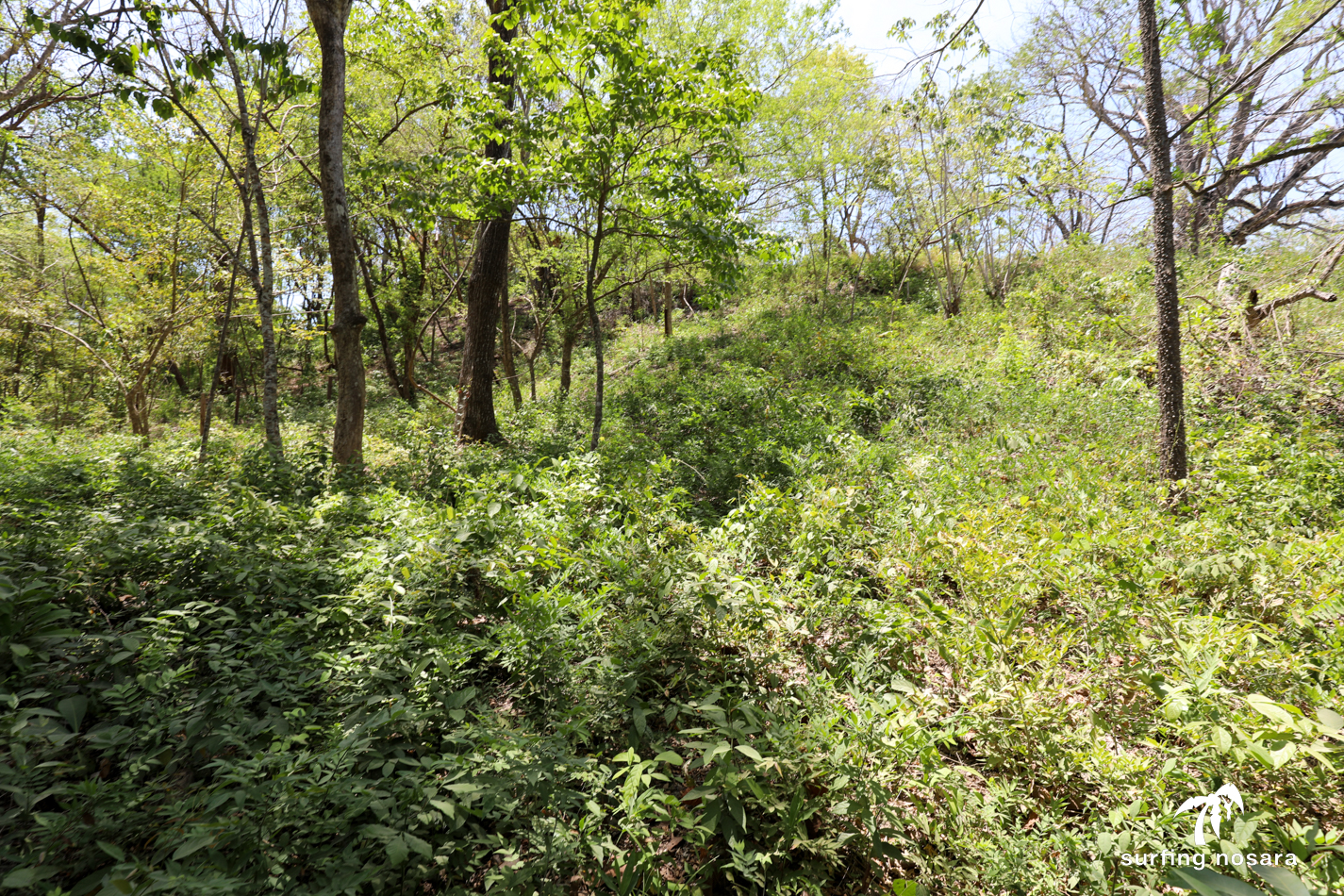 0 bed Land For Sale in Playa Pelada, Guanacaste - thumb 5