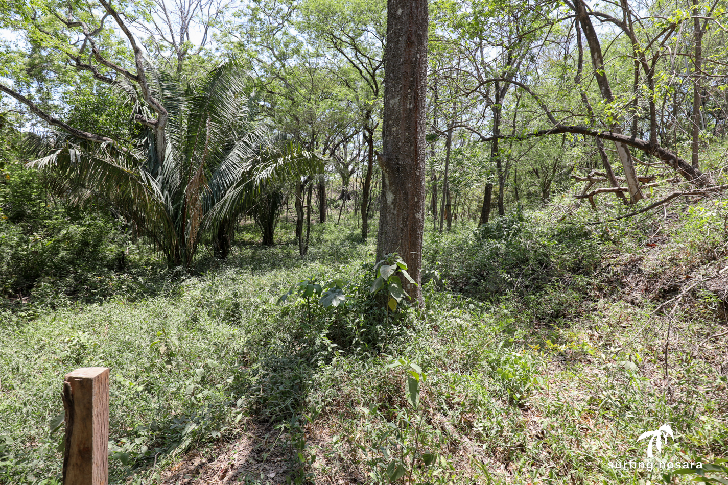 0 bed Land For Sale in Playa Pelada, Guanacaste - thumb 2