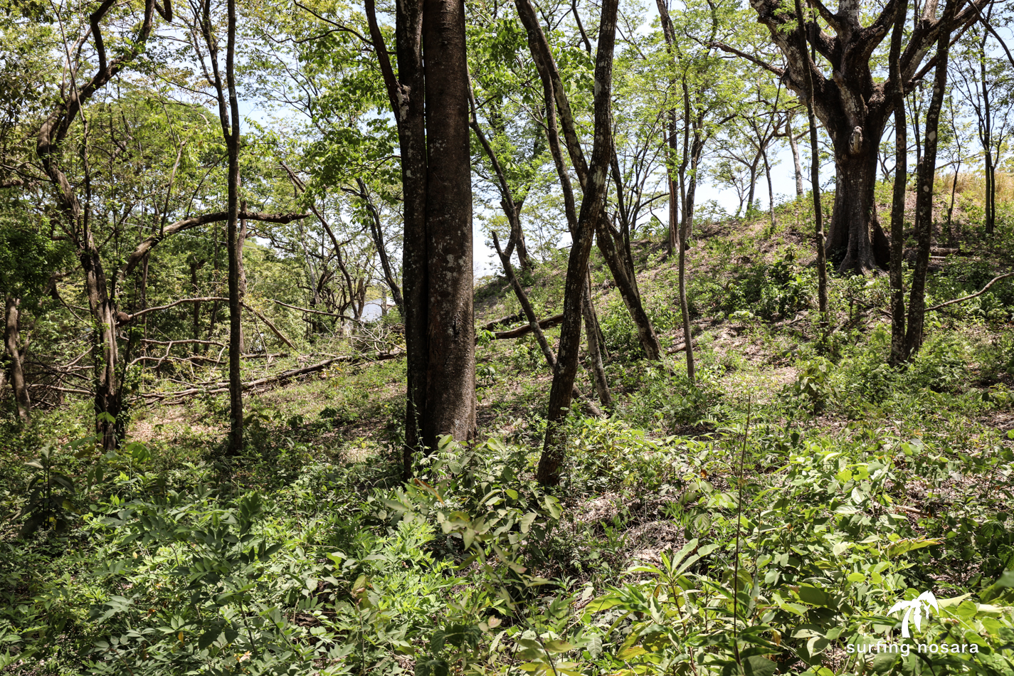 0 bed Land For Sale in Playa Pelada, Guanacaste - thumb 4