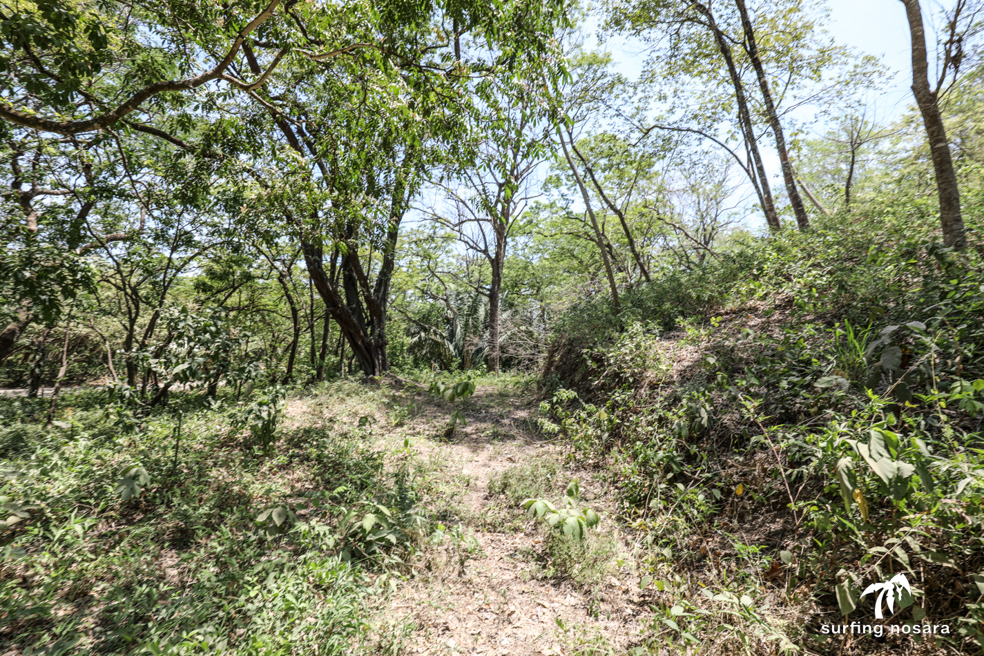 0 bed Land For Sale in Playa Pelada, Guanacaste - thumb 1