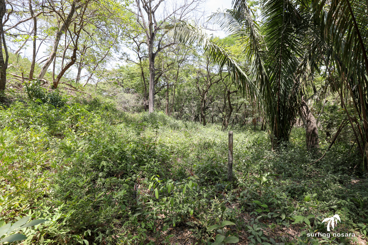 0 bed Land For Sale in Playa Pelada, Guanacaste - thumb 6
