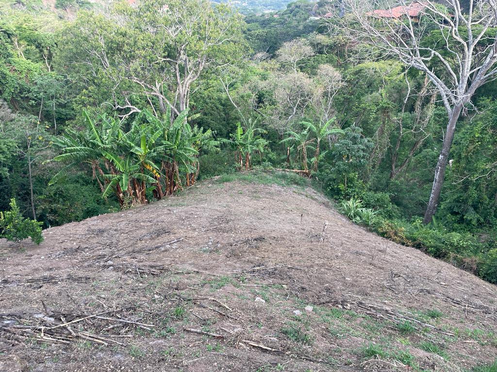 0 bed Land For Sale in Atenas, Alajuela - thumb 5
