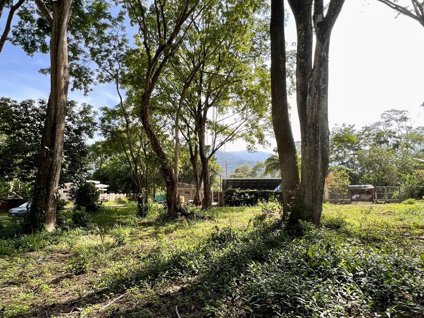 0 bed Land For Sale in Uvita, Puntarenas - thumb 14