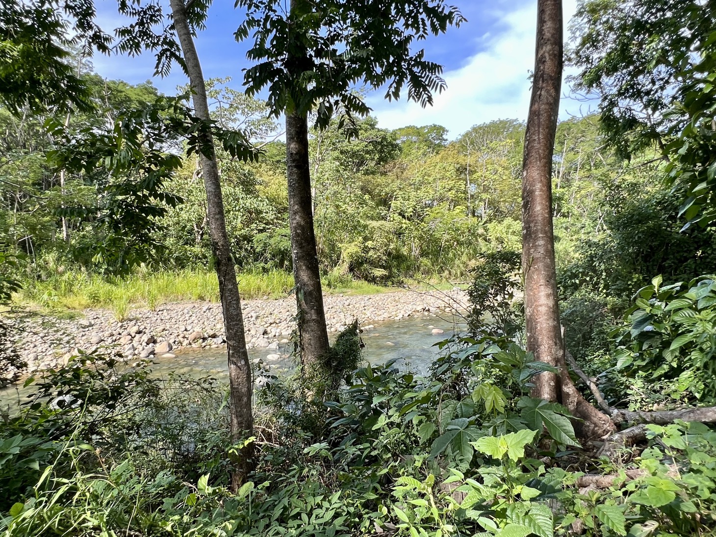 0 bed Land For Sale in Uvita, Puntarenas - thumb 11