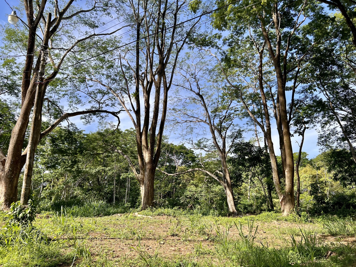 0 bed Land For Sale in Uvita, Puntarenas - thumb 8