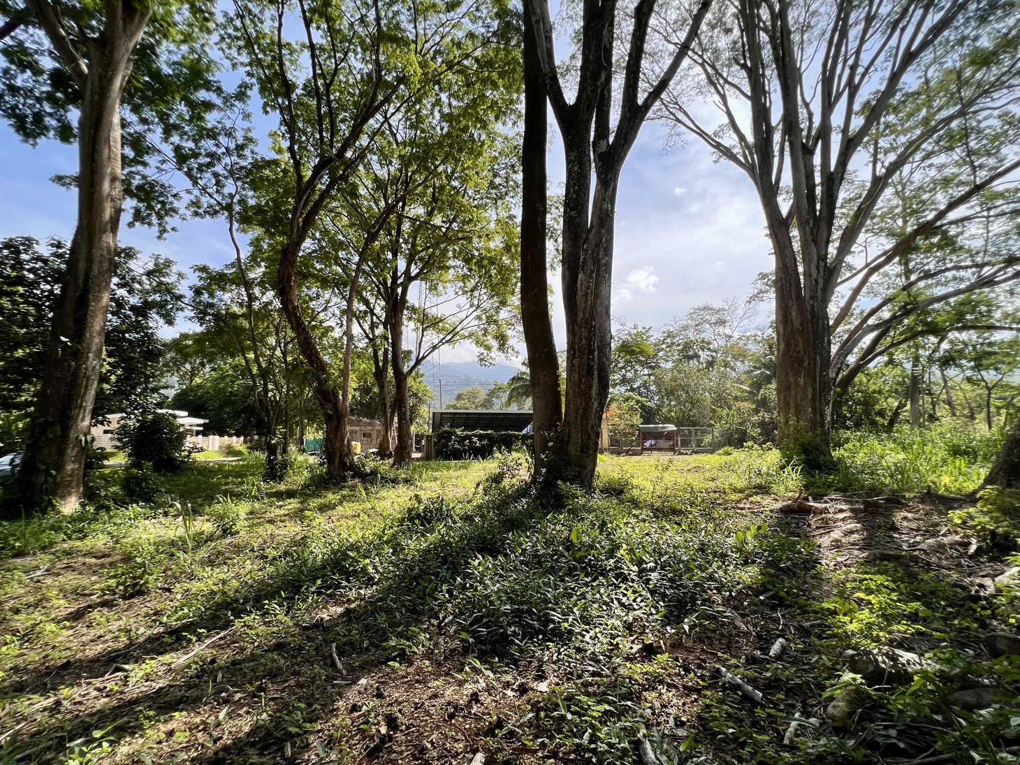 0 bed Land For Sale in Uvita, Puntarenas - thumb 12