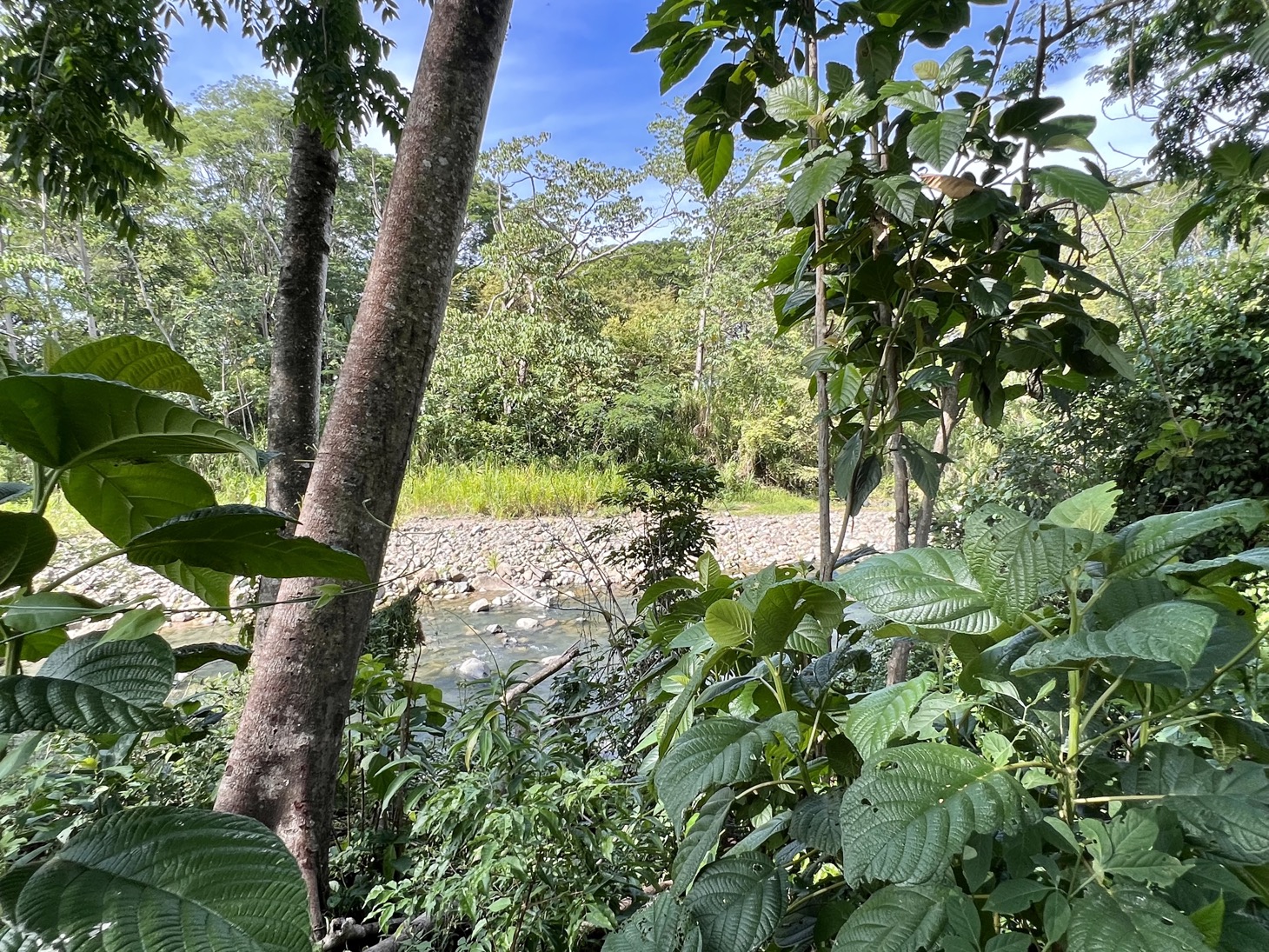 0 bed Land For Sale in Uvita, Puntarenas - thumb 5