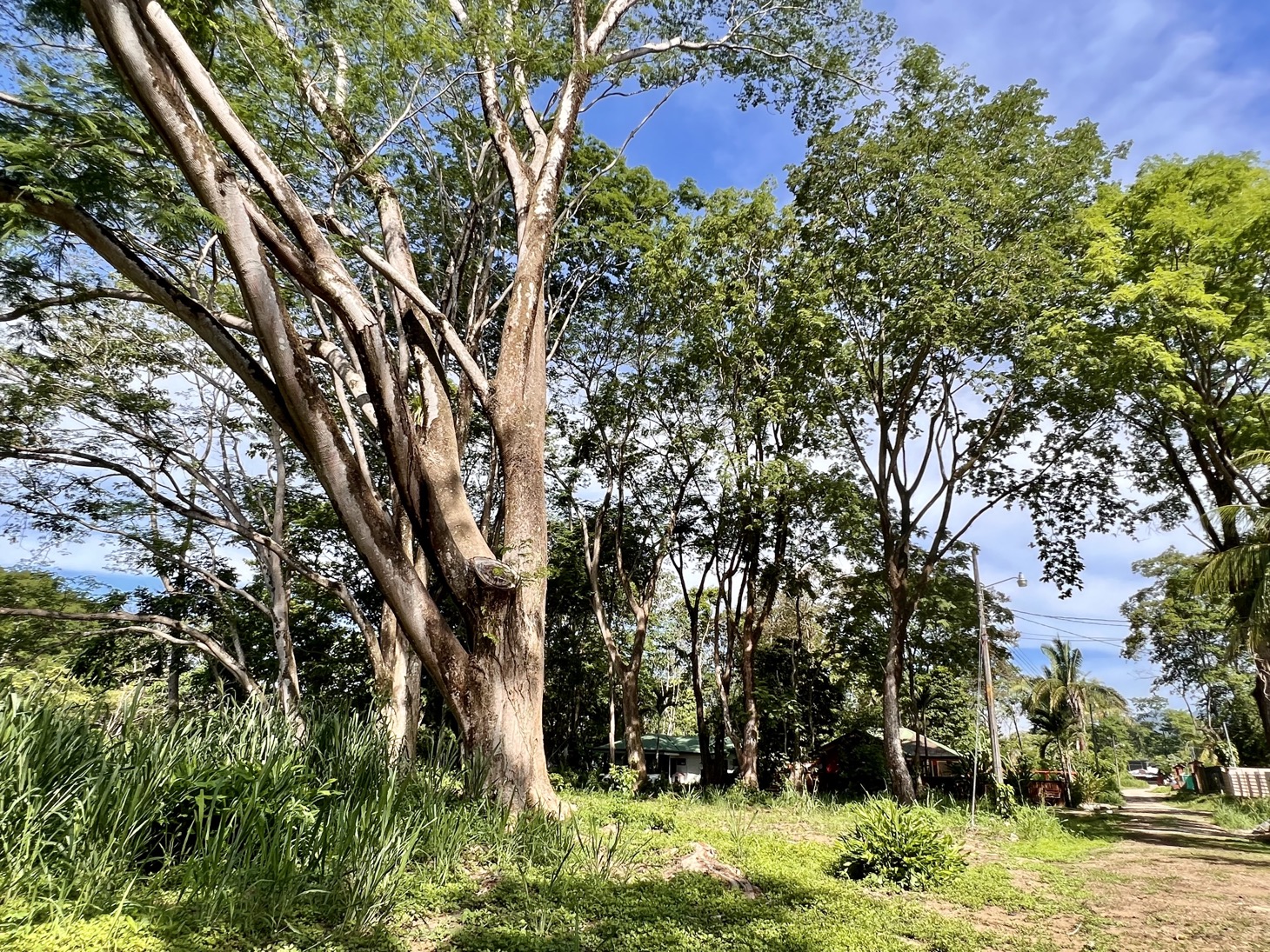 0 bed Land For Sale in Uvita, Puntarenas - thumb 6