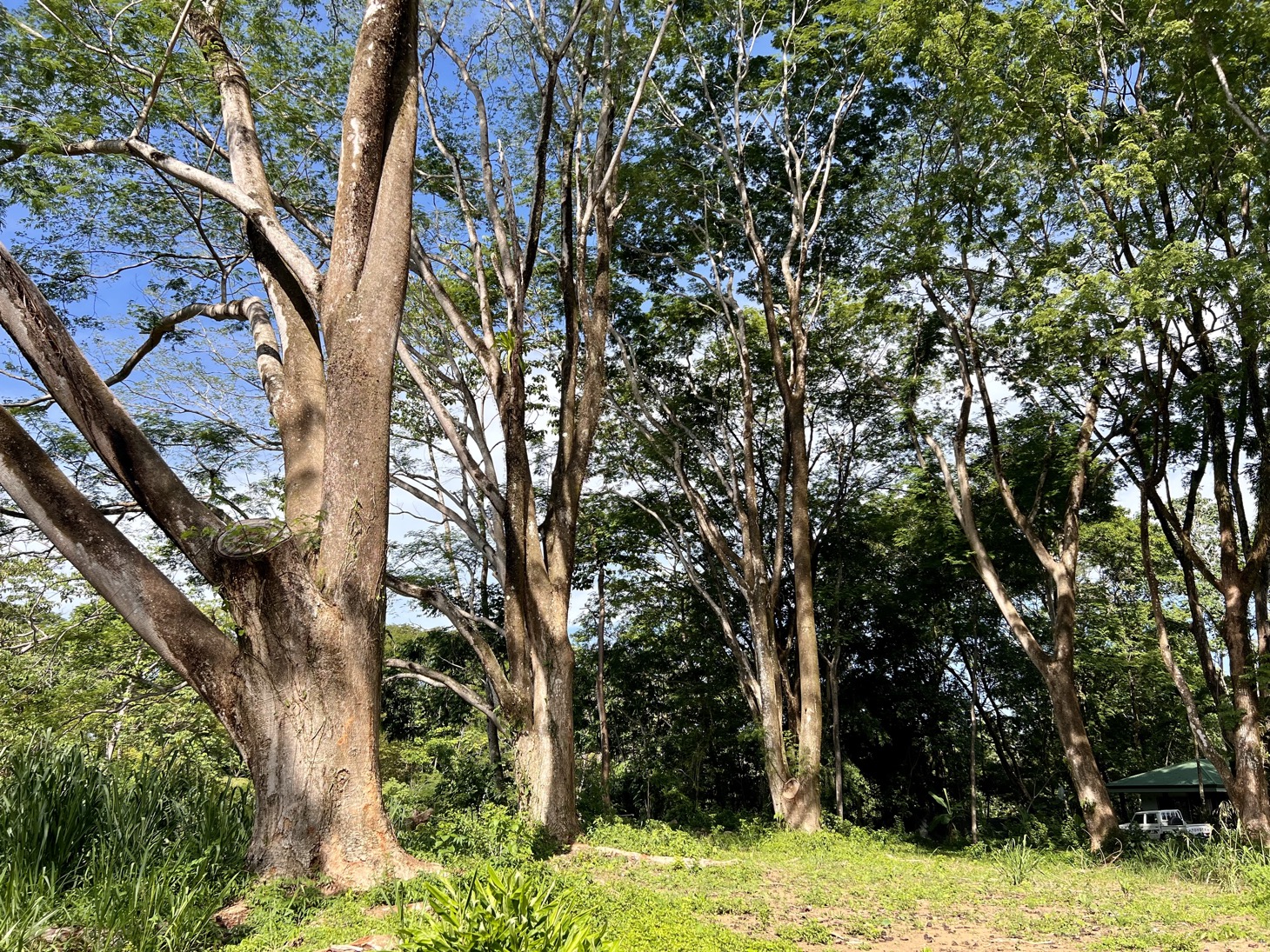 0 bed Land For Sale in Uvita, Puntarenas - thumb 7