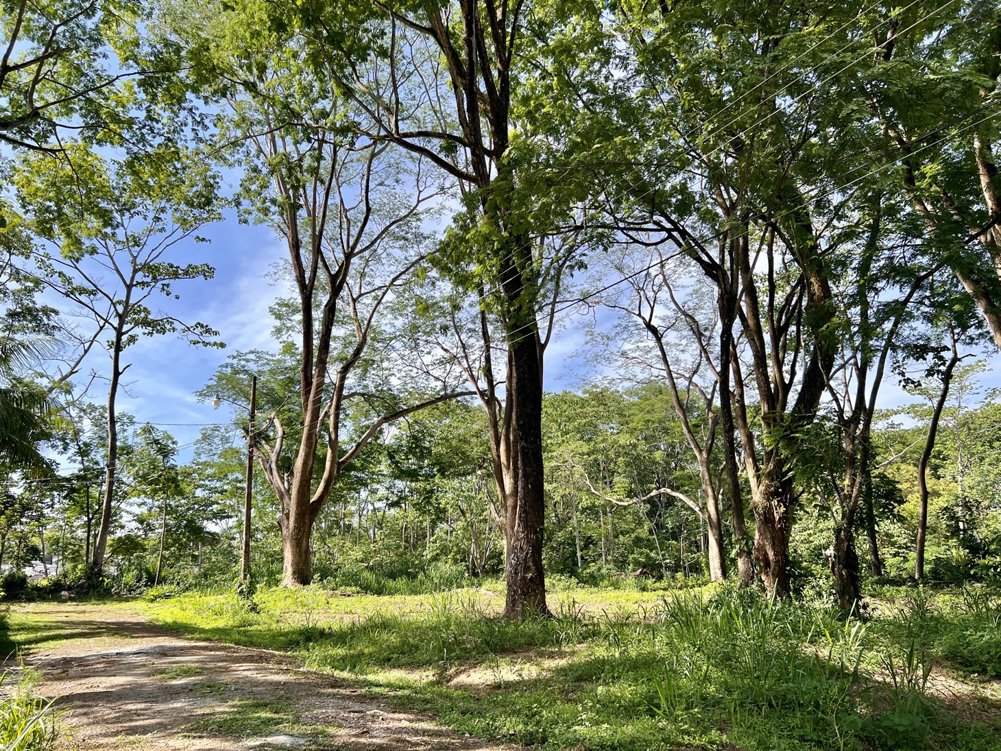0 bed Land For Sale in Uvita, Puntarenas - thumb 9