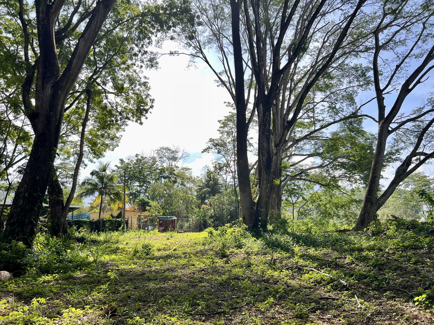 0 bed Land For Sale in Uvita, Puntarenas - thumb 15