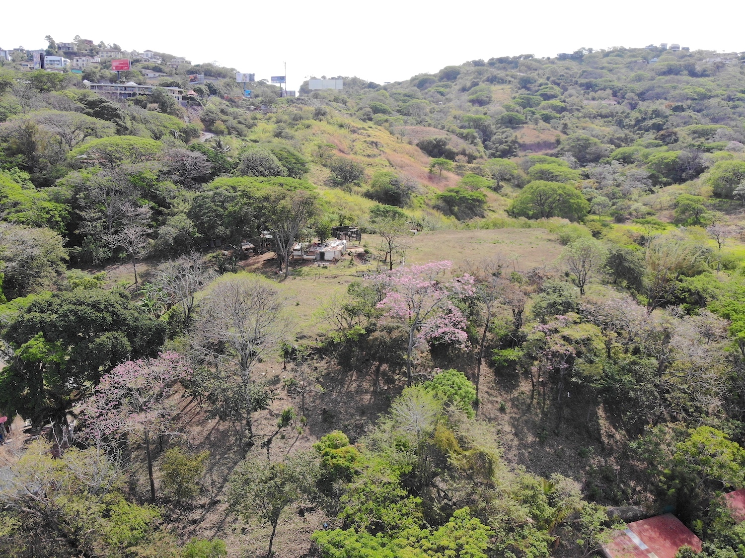 0 bed Land For Sale in Pozos, San Jose - thumb 2