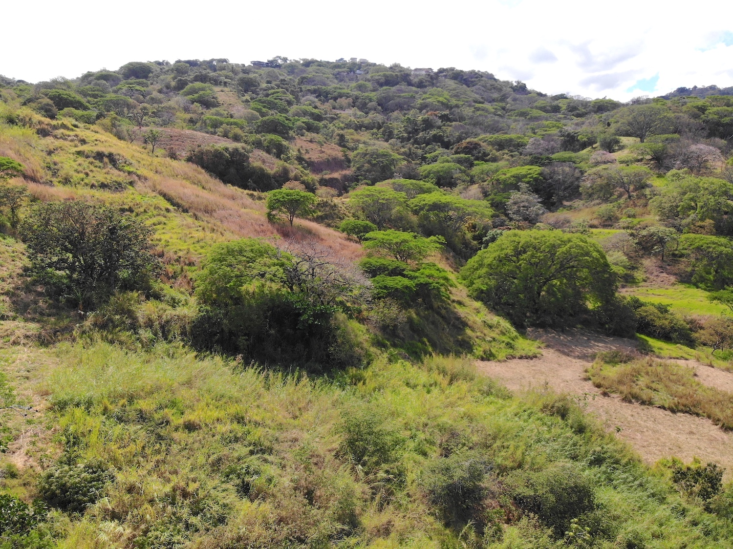 0 bed Land For Sale in Pozos, San Jose - thumb 16