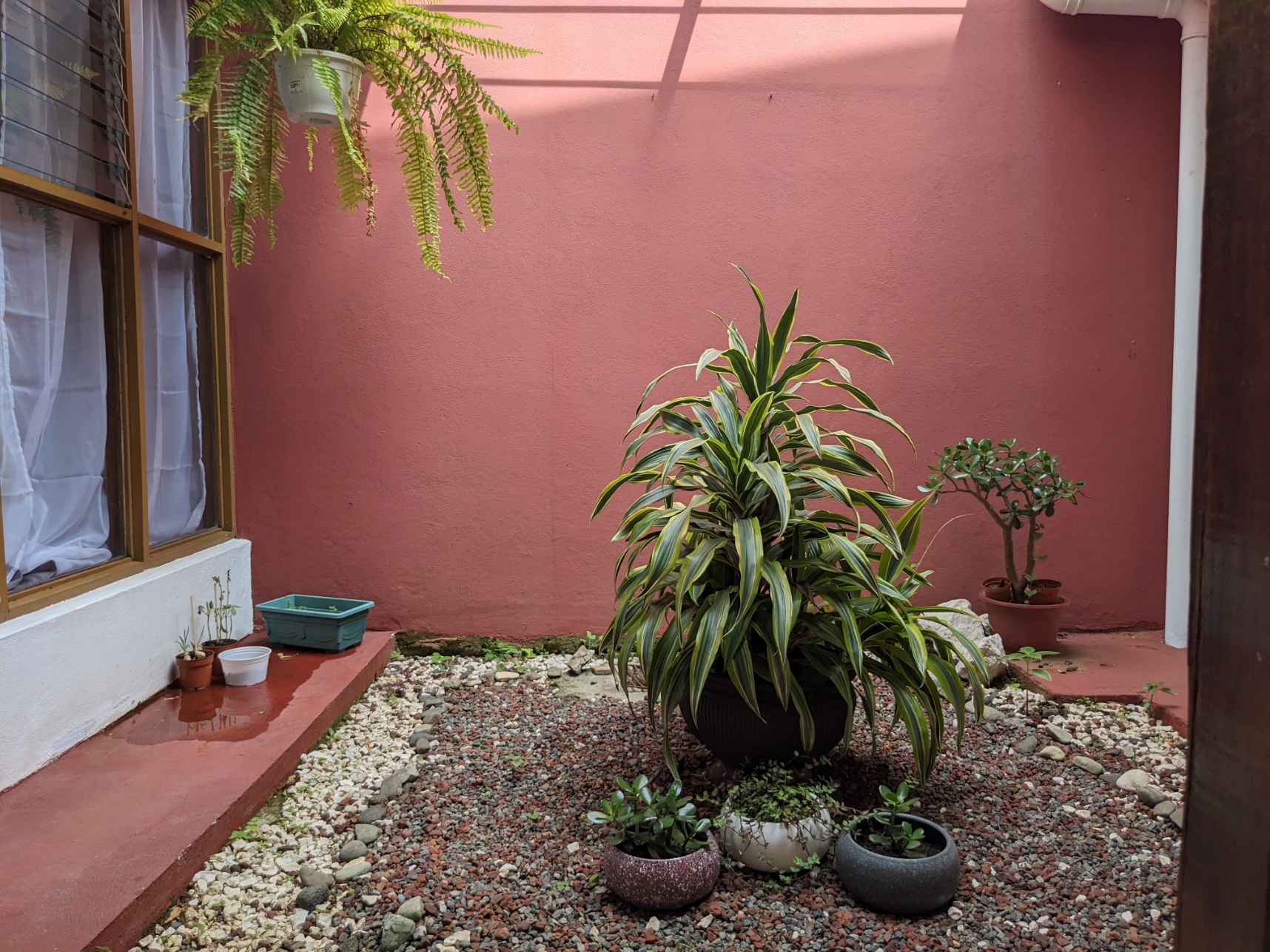 4 bed Single Family Homes For Sale in San Pedro, San Jose - thumb 17