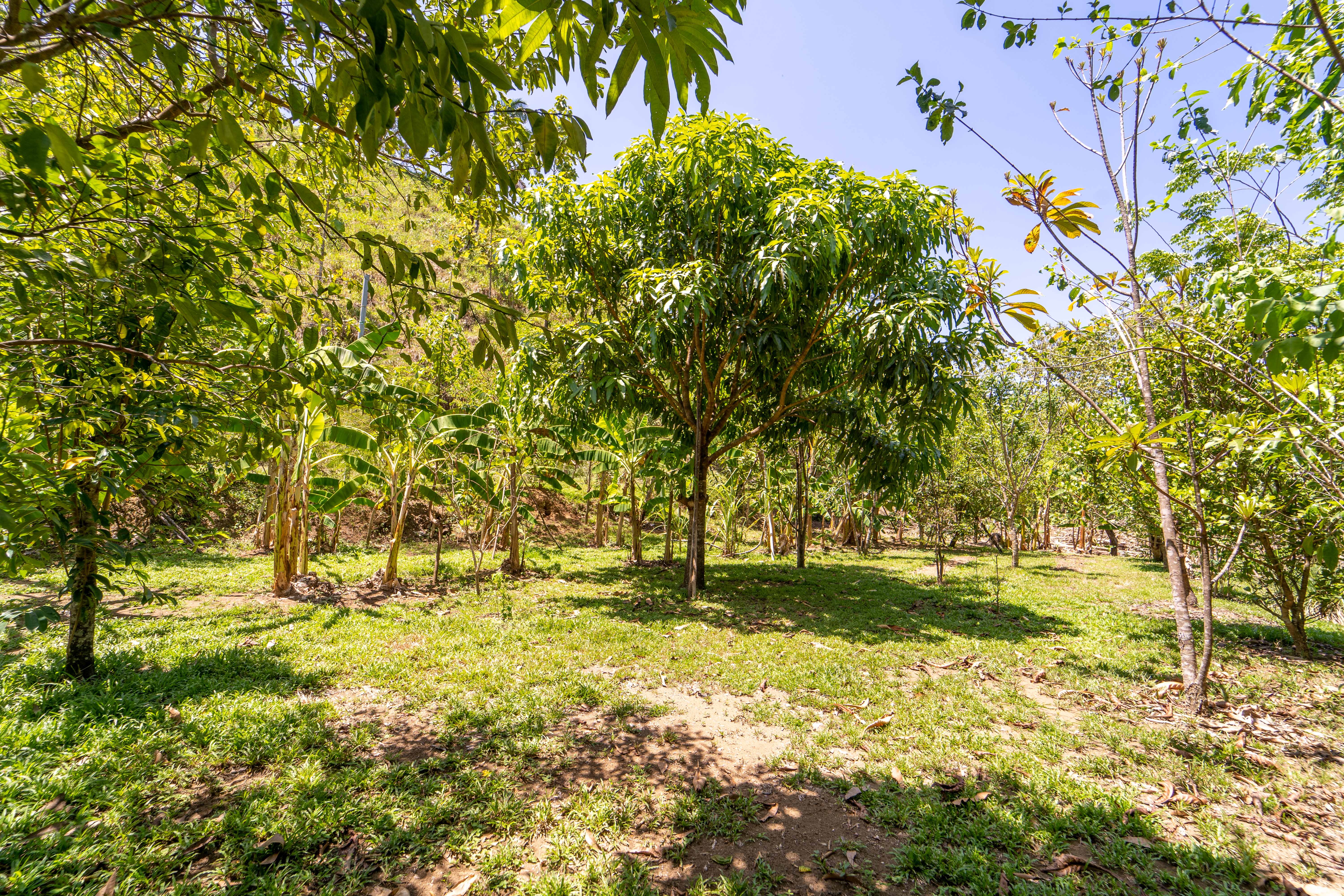 3 bed Single Family Homes For Sale in Samara, Guanacaste - thumb 22