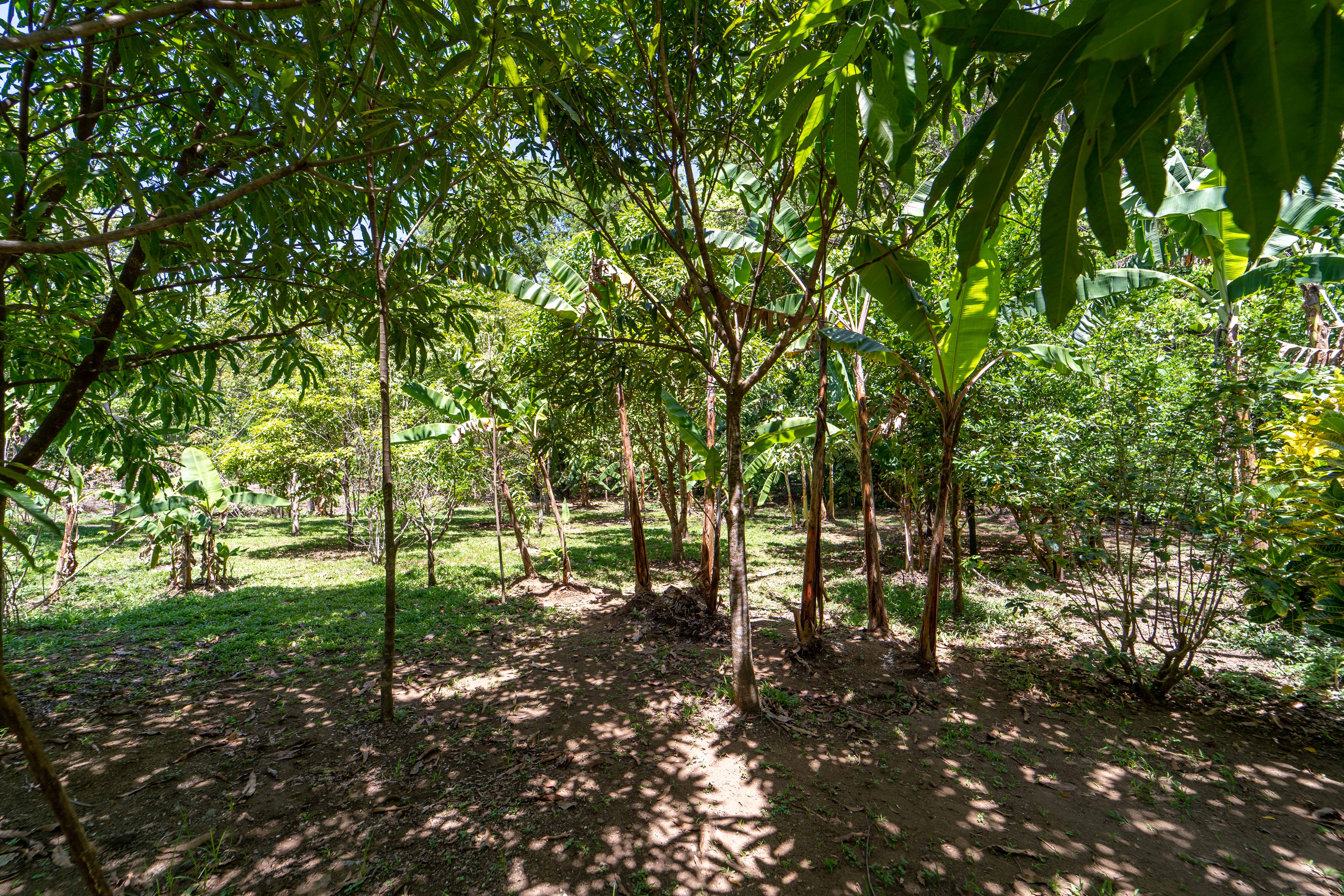 3 bed Single Family Homes For Sale in Samara, Guanacaste - thumb 23