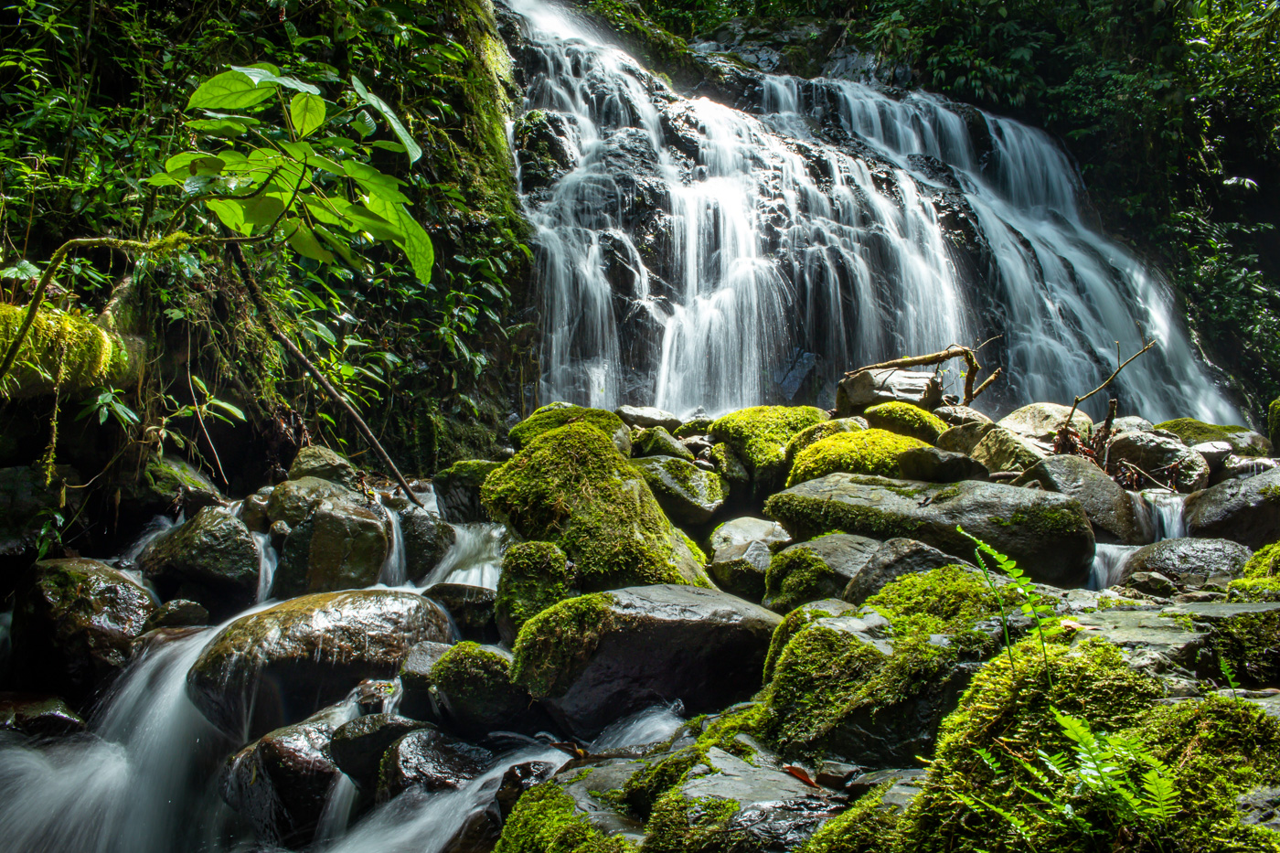 3 bed Single Family Homes For Sale in Perez Zeledon, San Jose - thumb 5