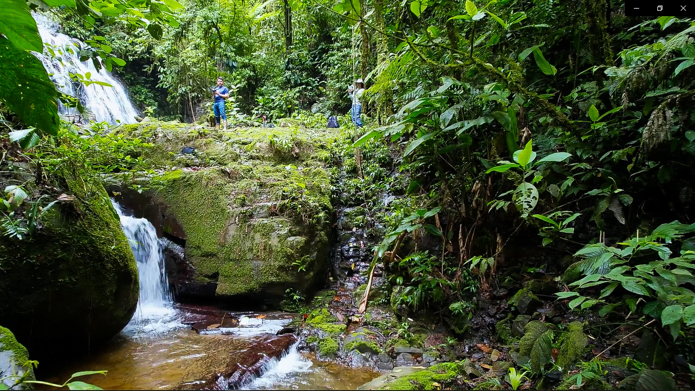 3 bed Single Family Homes For Sale in Perez Zeledon, San Jose - thumb 13