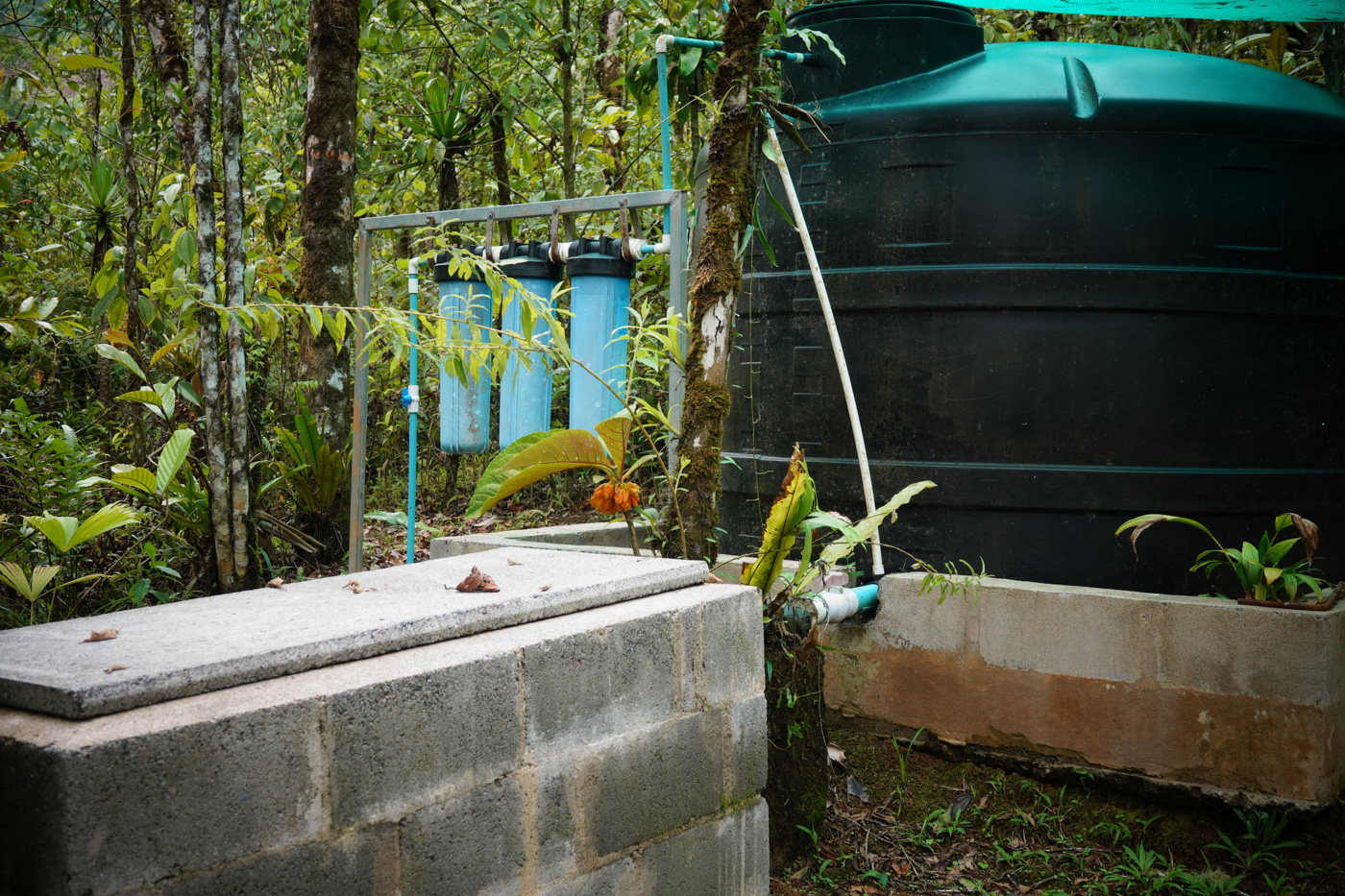 3 bed Single Family Homes For Sale in Perez Zeledon, San Jose - thumb 27