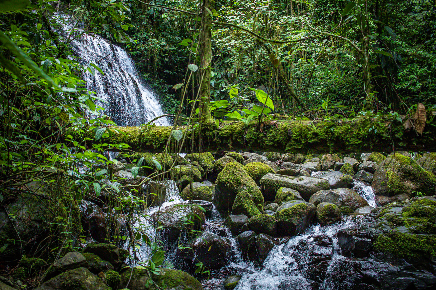 3 bed Single Family Homes For Sale in Perez Zeledon, San Jose - thumb 7