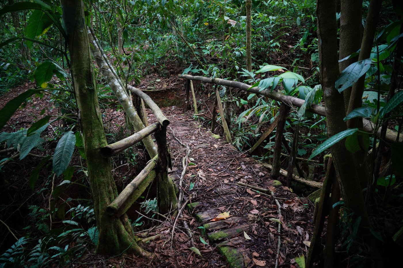 3 bed Single Family Homes For Sale in Perez Zeledon, San Jose - thumb 14