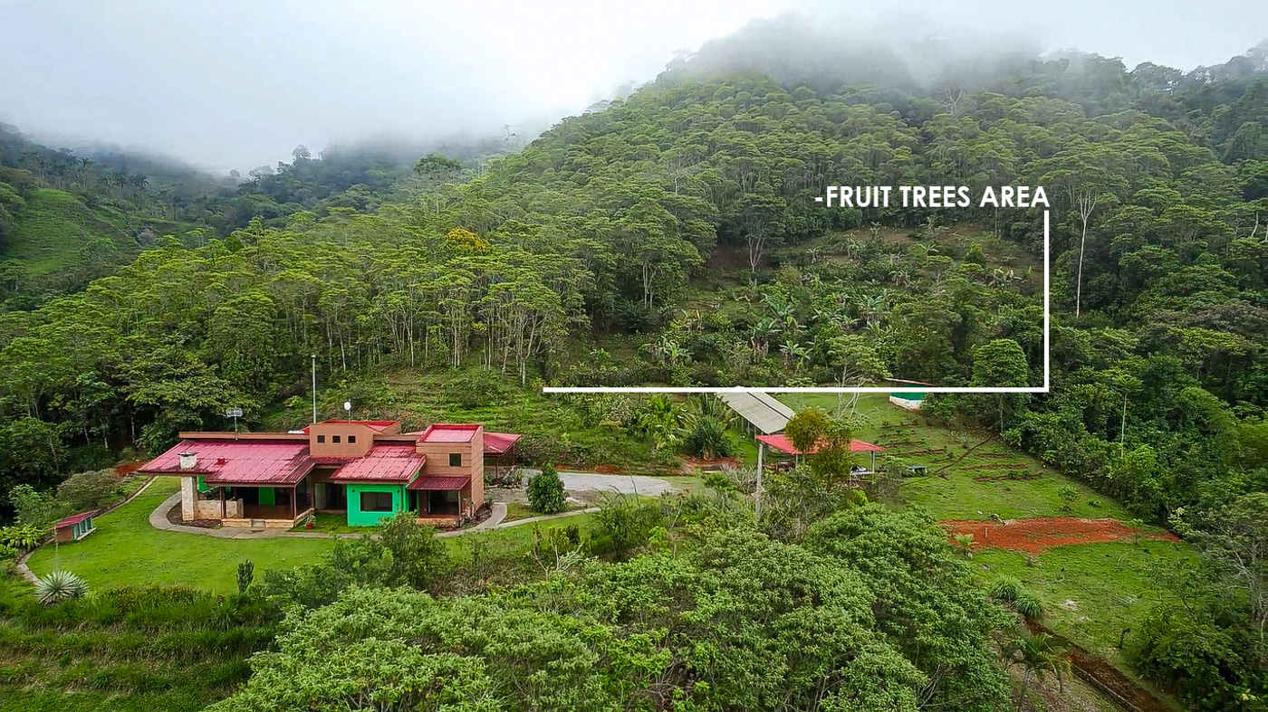 3 bed Single Family Homes For Sale in Perez Zeledon, San Jose - thumb 12