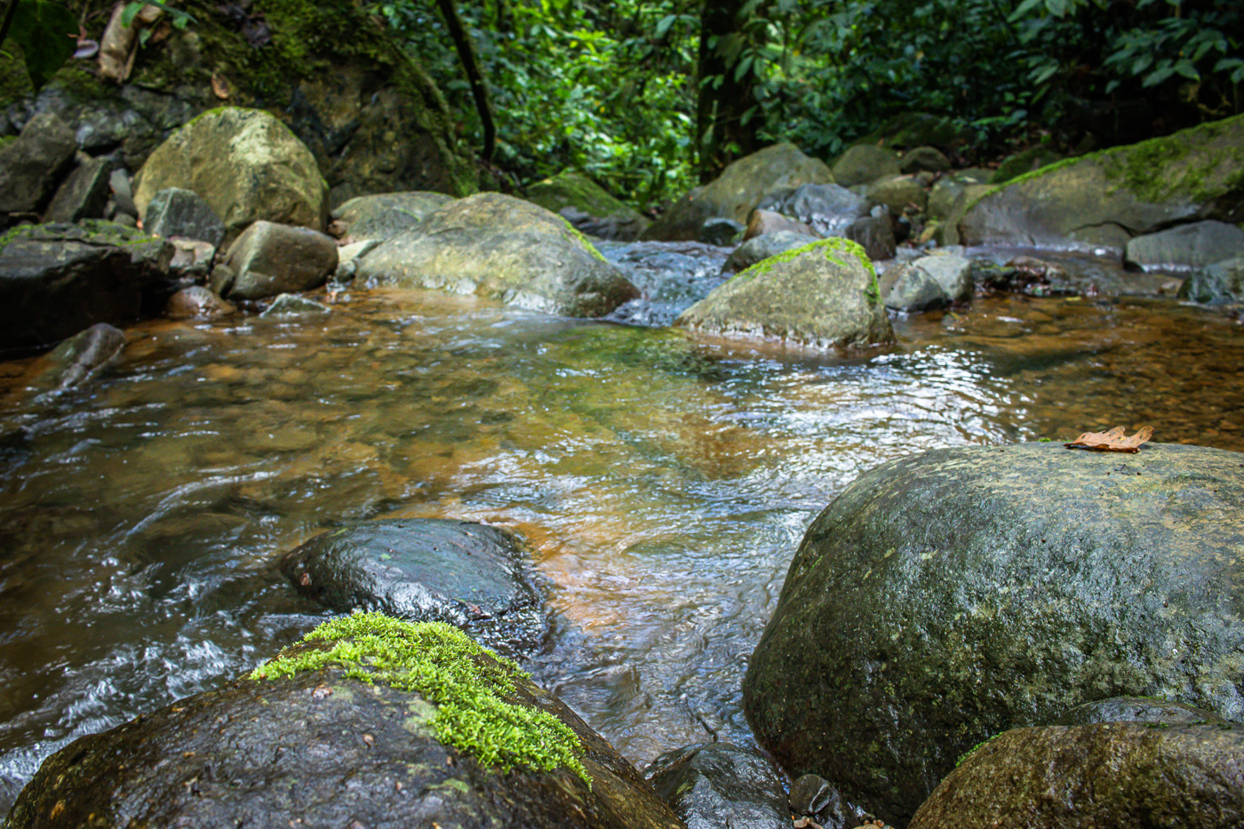 3 bed Single Family Homes For Sale in Perez Zeledon, San Jose - thumb 9