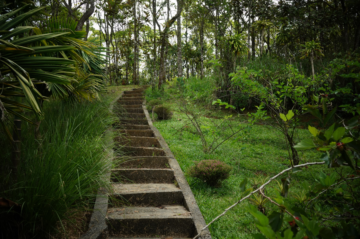 3 bed Single Family Homes For Sale in Perez Zeledon, San Jose - thumb 29