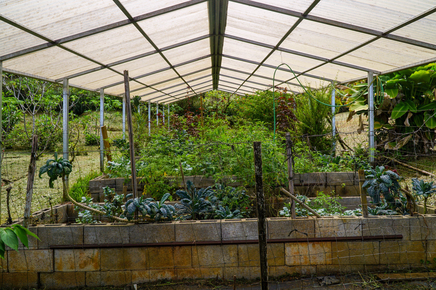 3 bed Single Family Homes For Sale in Perez Zeledon, San Jose - thumb 28