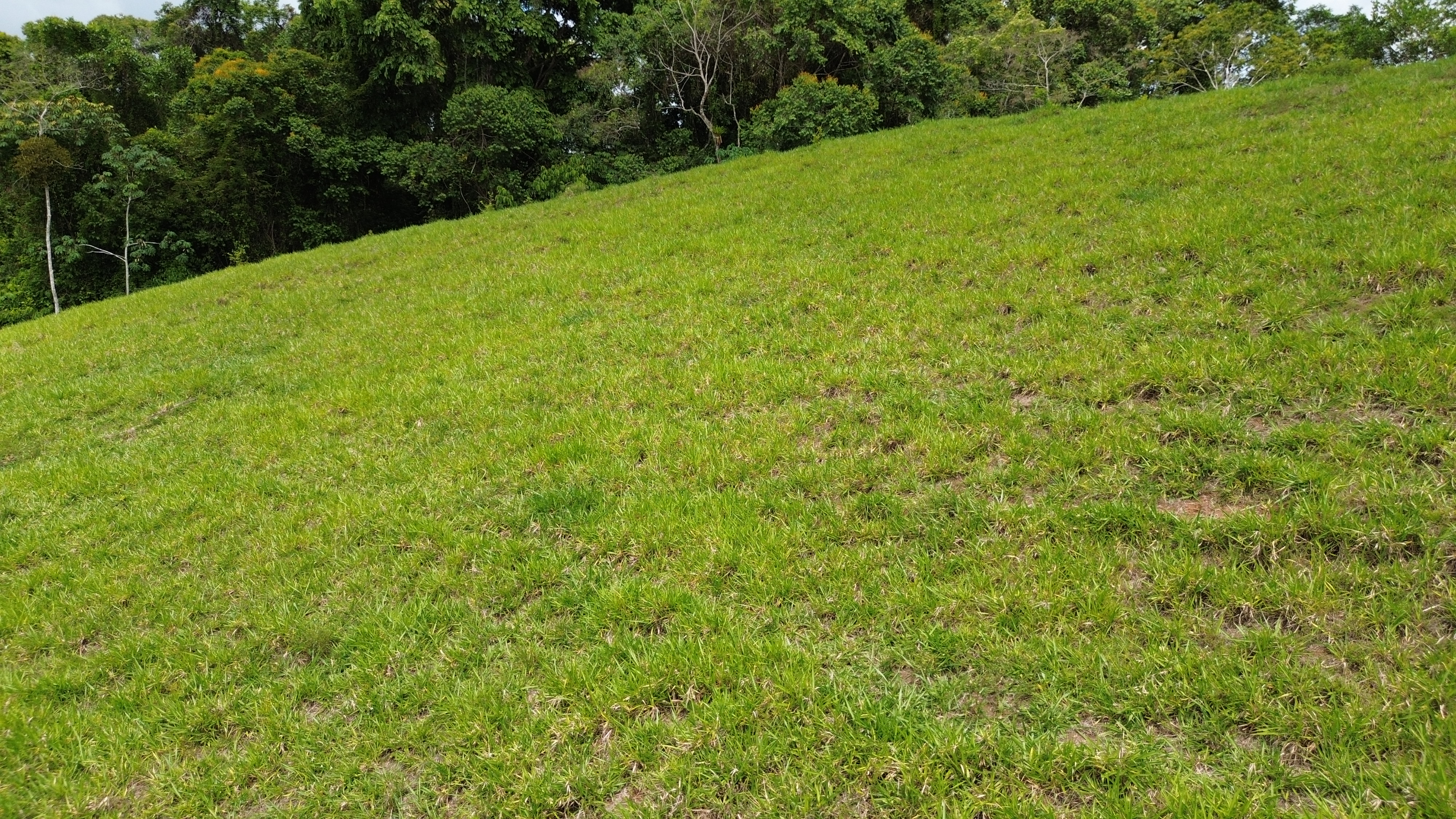 0 bed Land For Sale in Perez Zeledon, San Jose - thumb 8