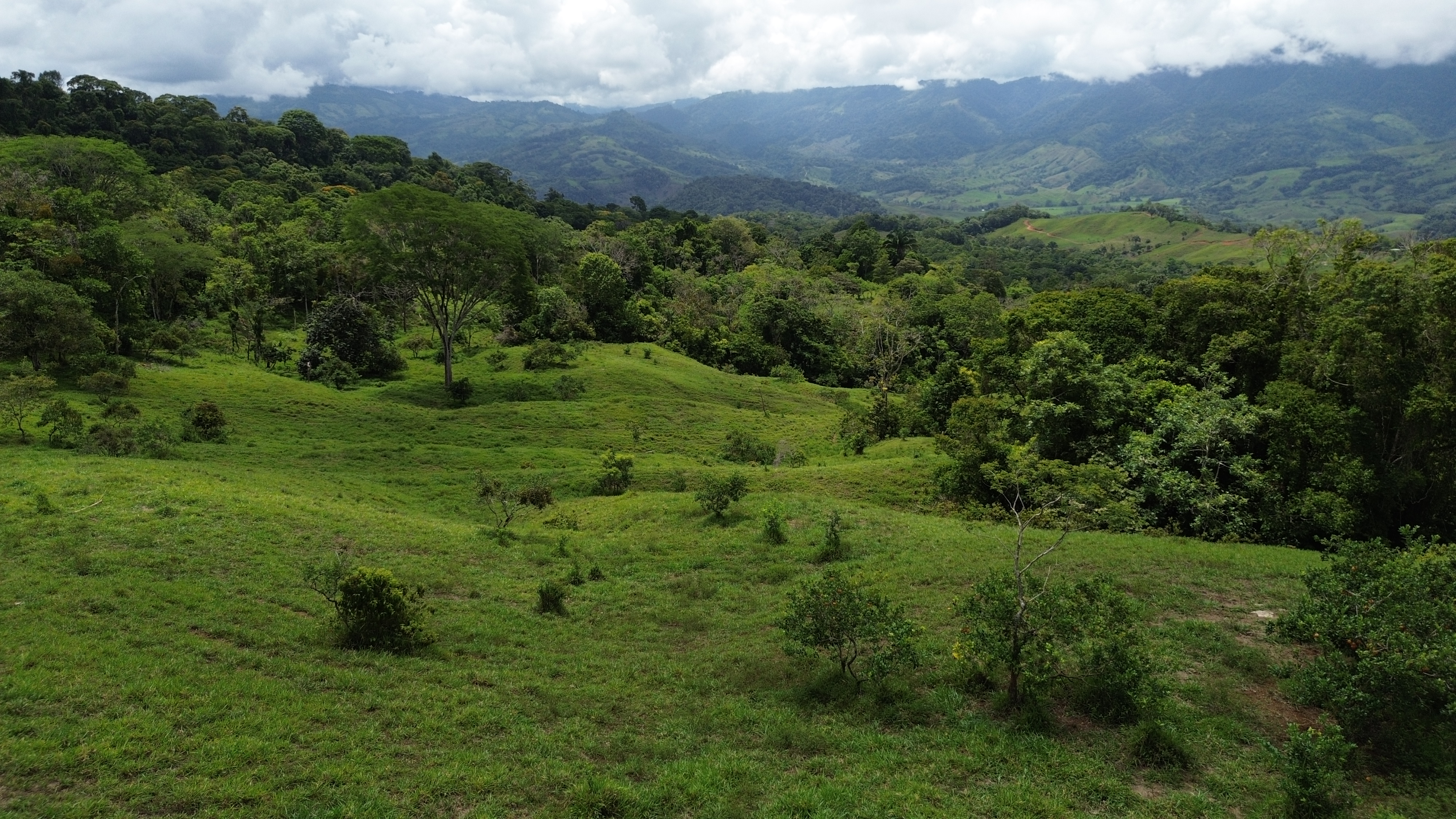 0 bed Land For Sale in Perez Zeledon, San Jose - thumb 6