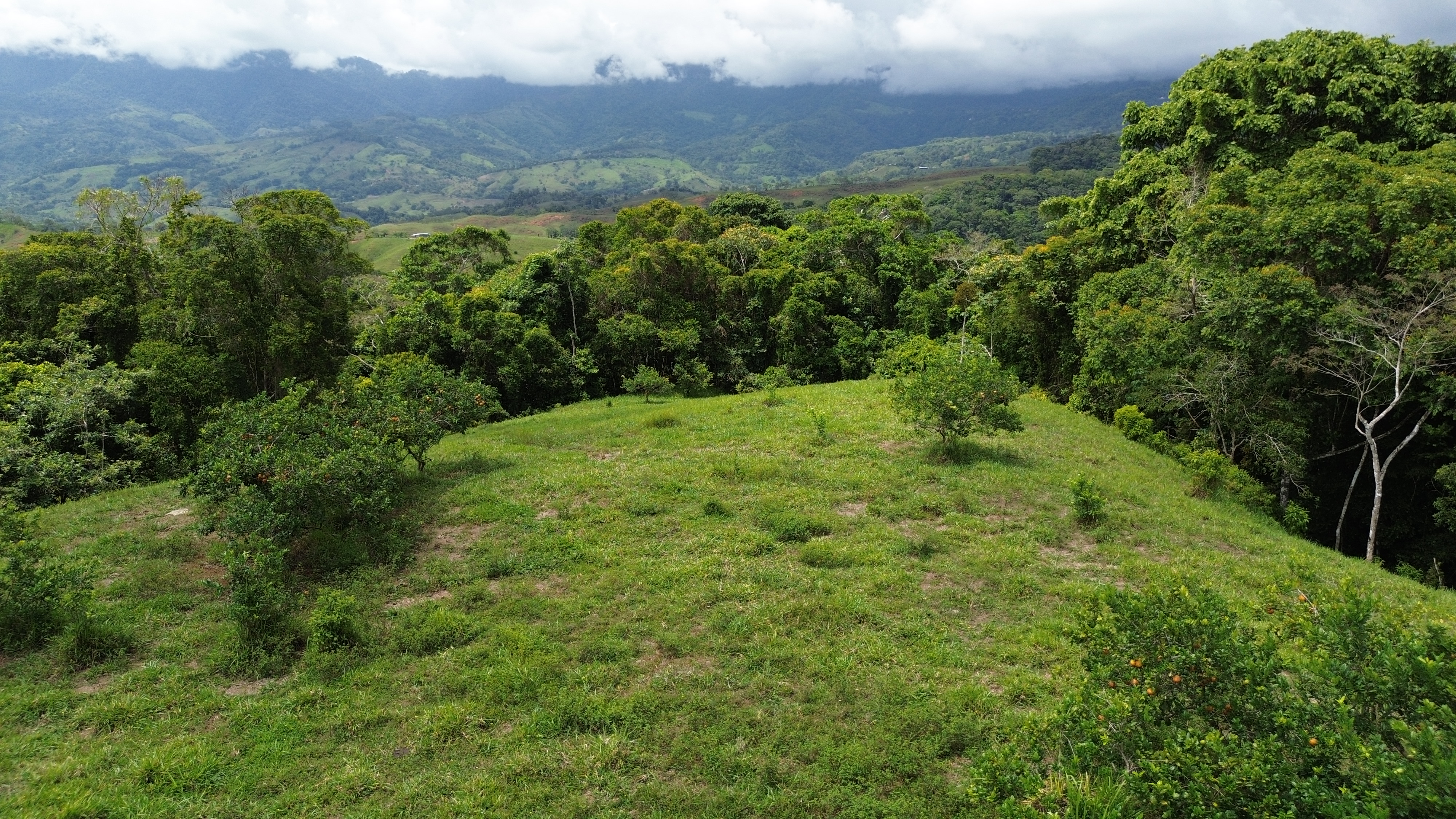 0 bed Land For Sale in Perez Zeledon, San Jose - thumb 1