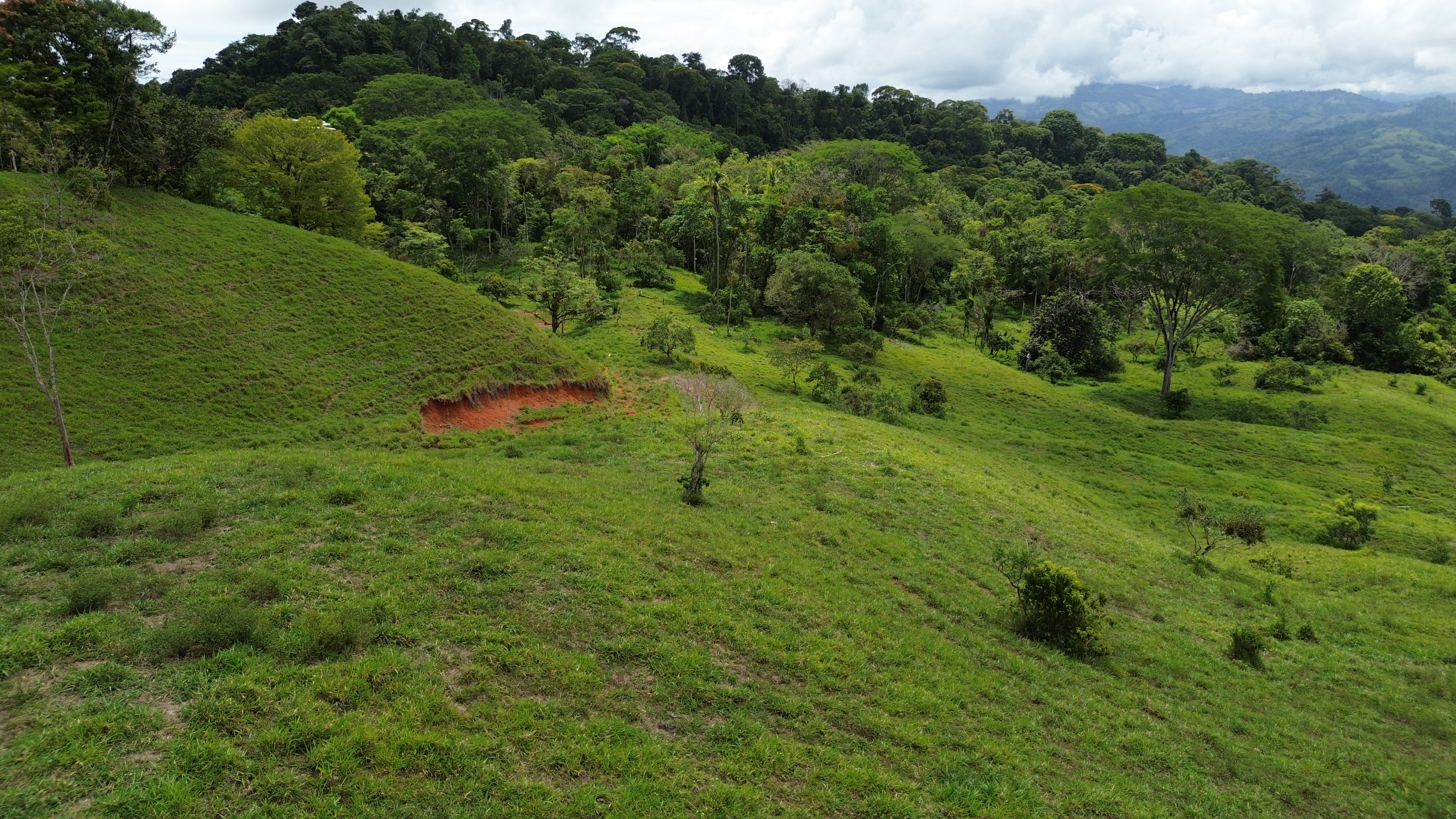 0 bed Land For Sale in Perez Zeledon, San Jose - thumb 9