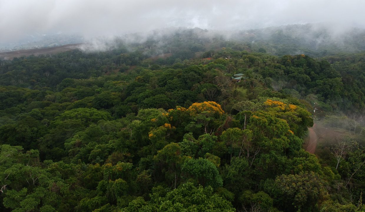 0 bed Land For Sale in Perez Zeledon, San Jose - thumb 17