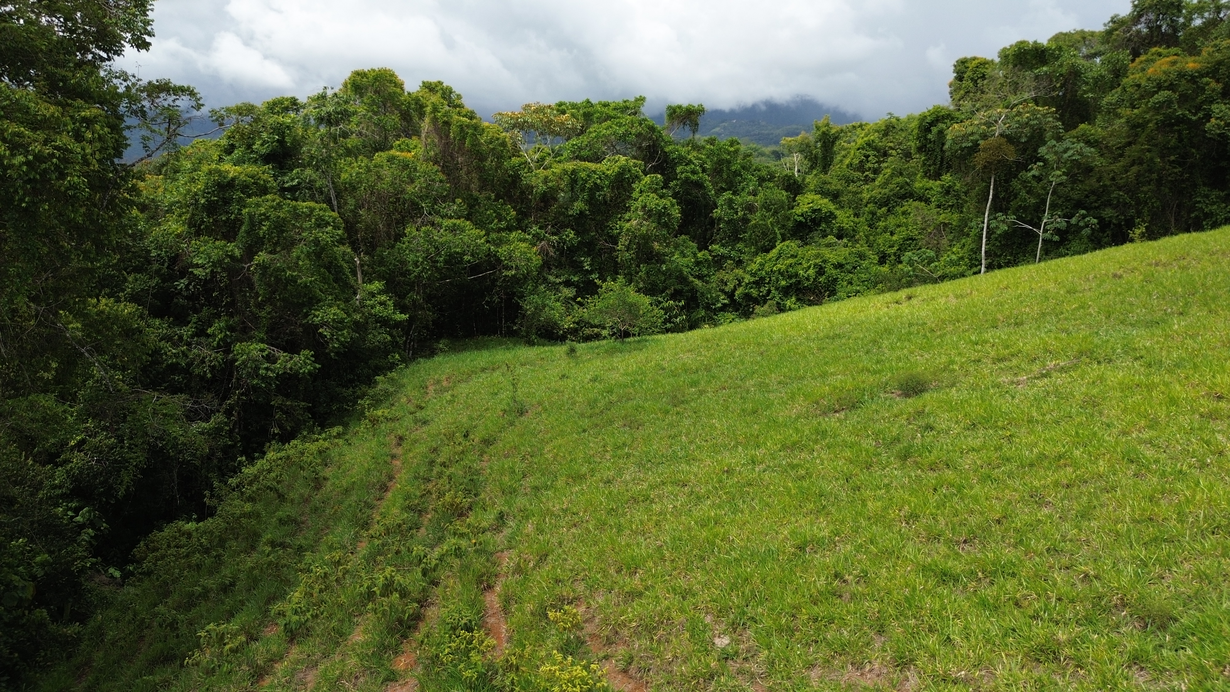 0 bed Land For Sale in Perez Zeledon, San Jose - thumb 5
