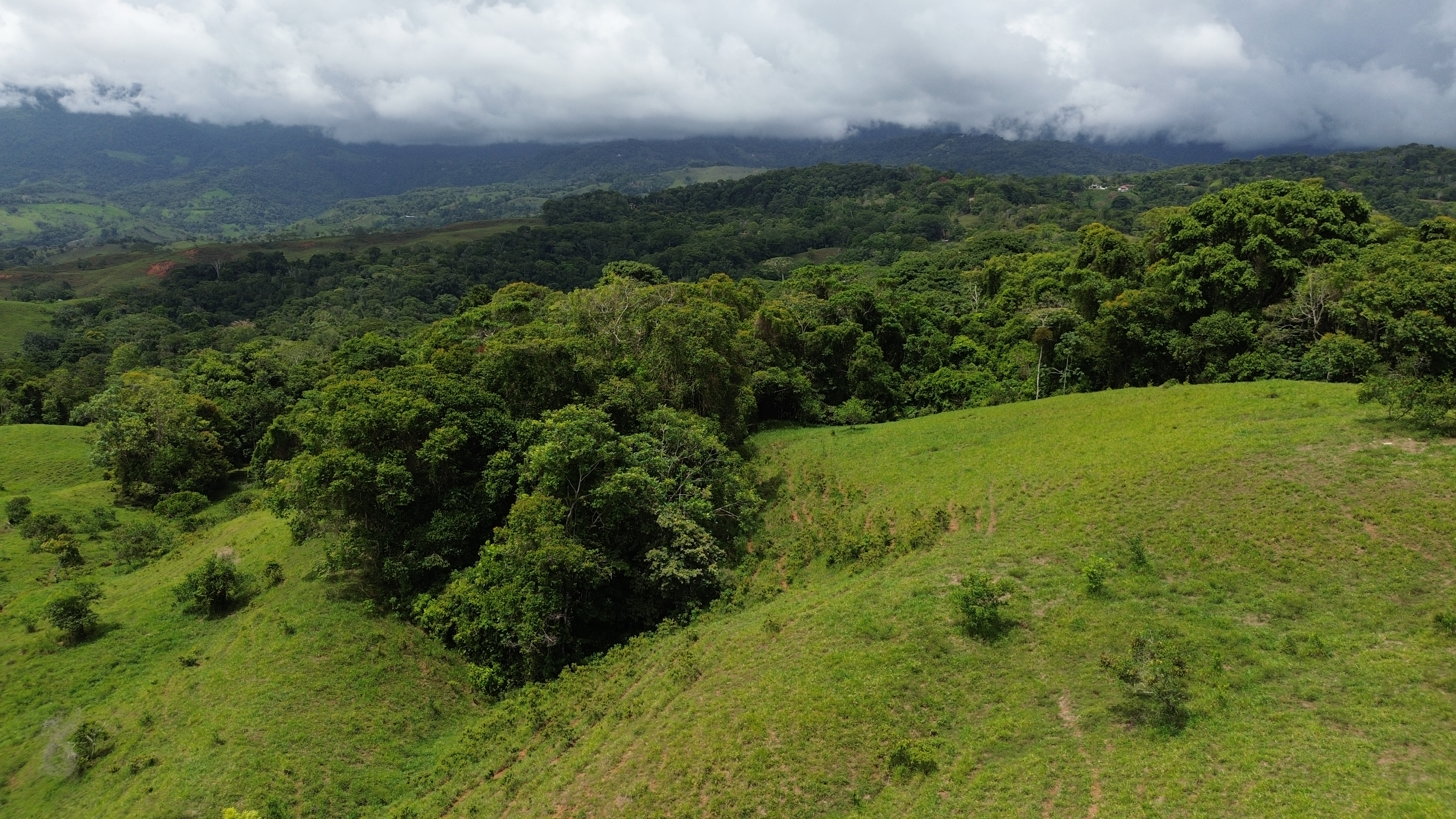 0 bed Land For Sale in Perez Zeledon, San Jose - thumb 15