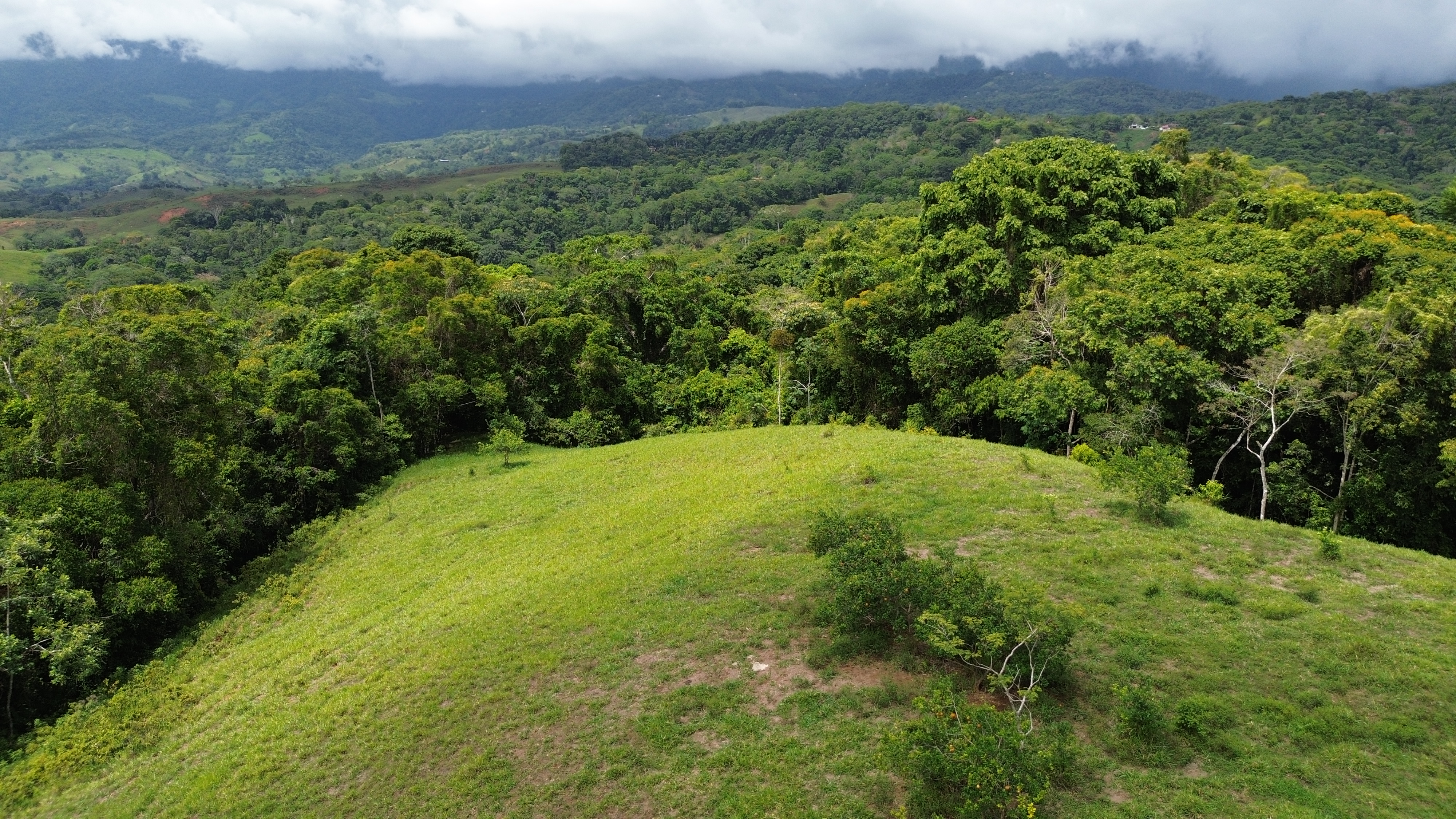 0 bed Land For Sale in Perez Zeledon, San Jose - thumb 2