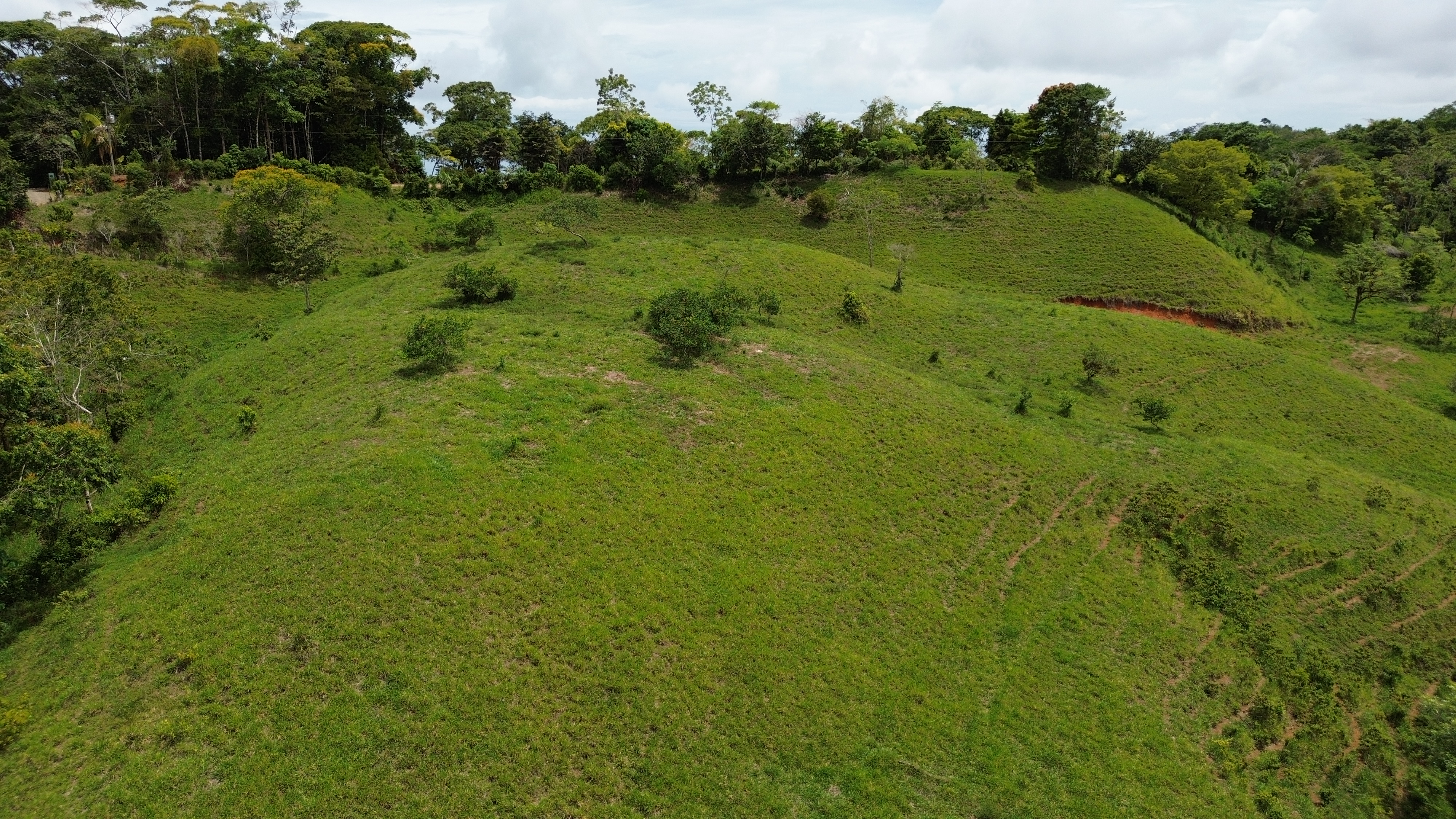 0 bed Land For Sale in Perez Zeledon, San Jose - thumb 16