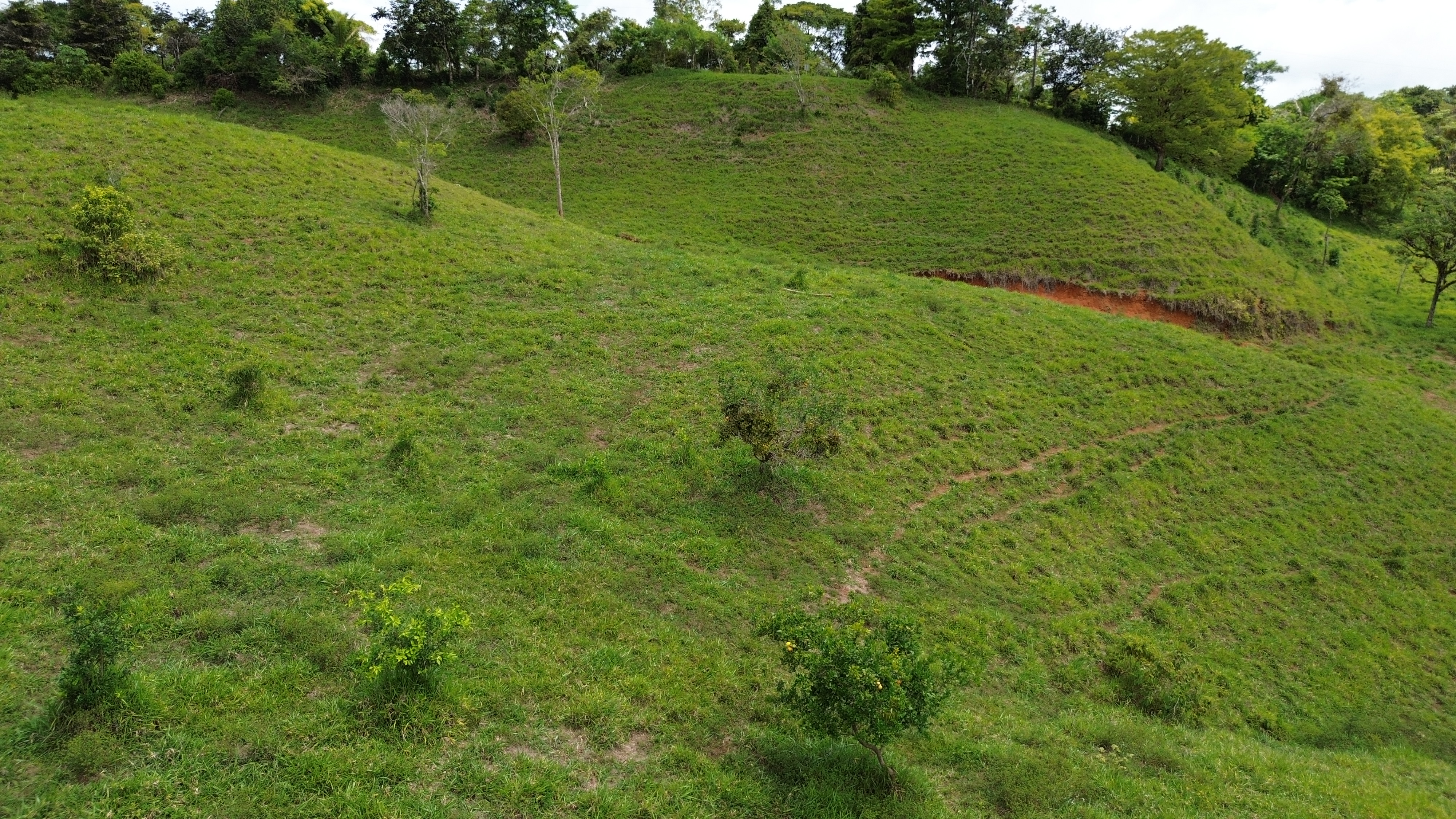 0 bed Land For Sale in Perez Zeledon, San Jose - thumb 4